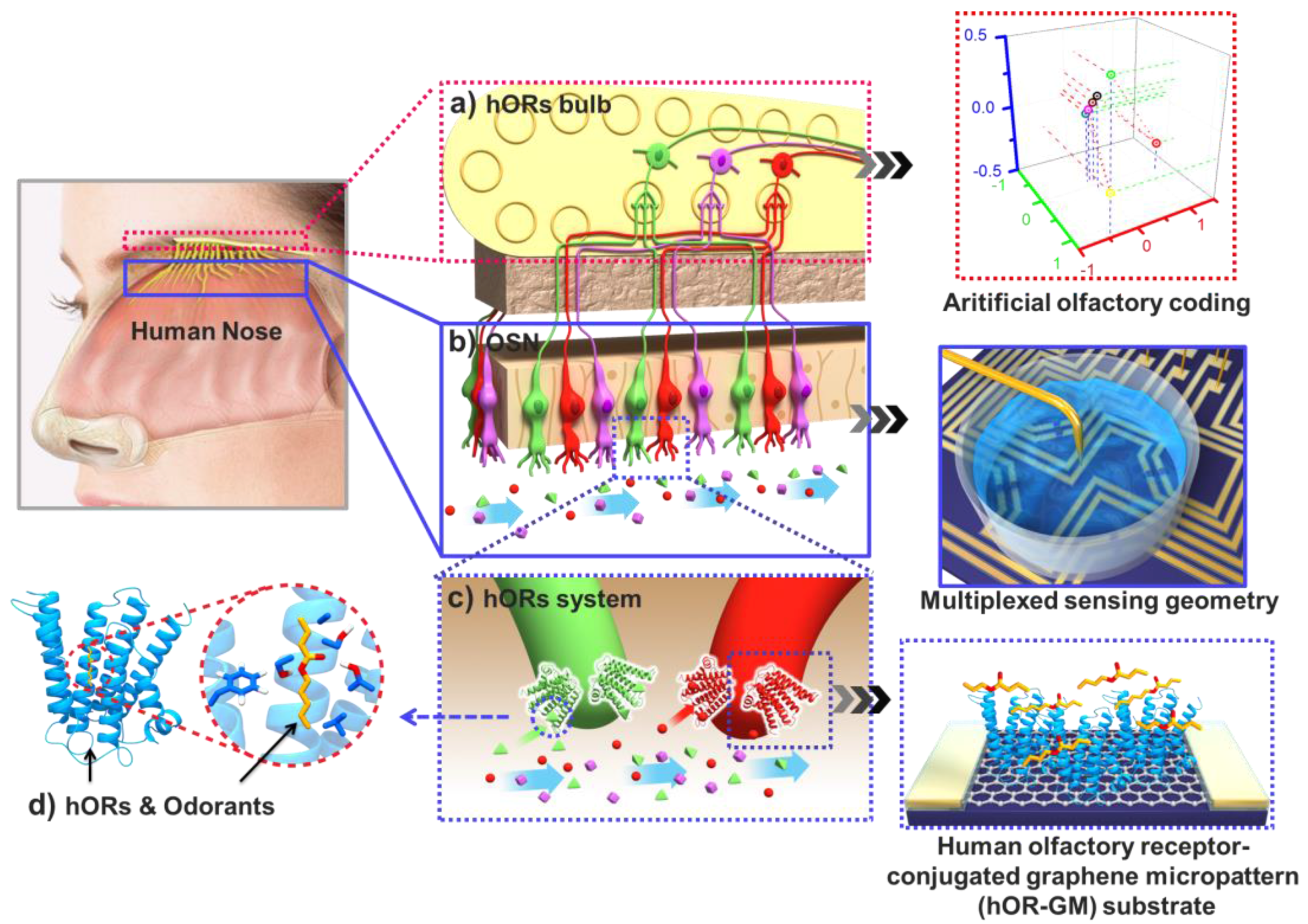 Sensors 18 00103 g001