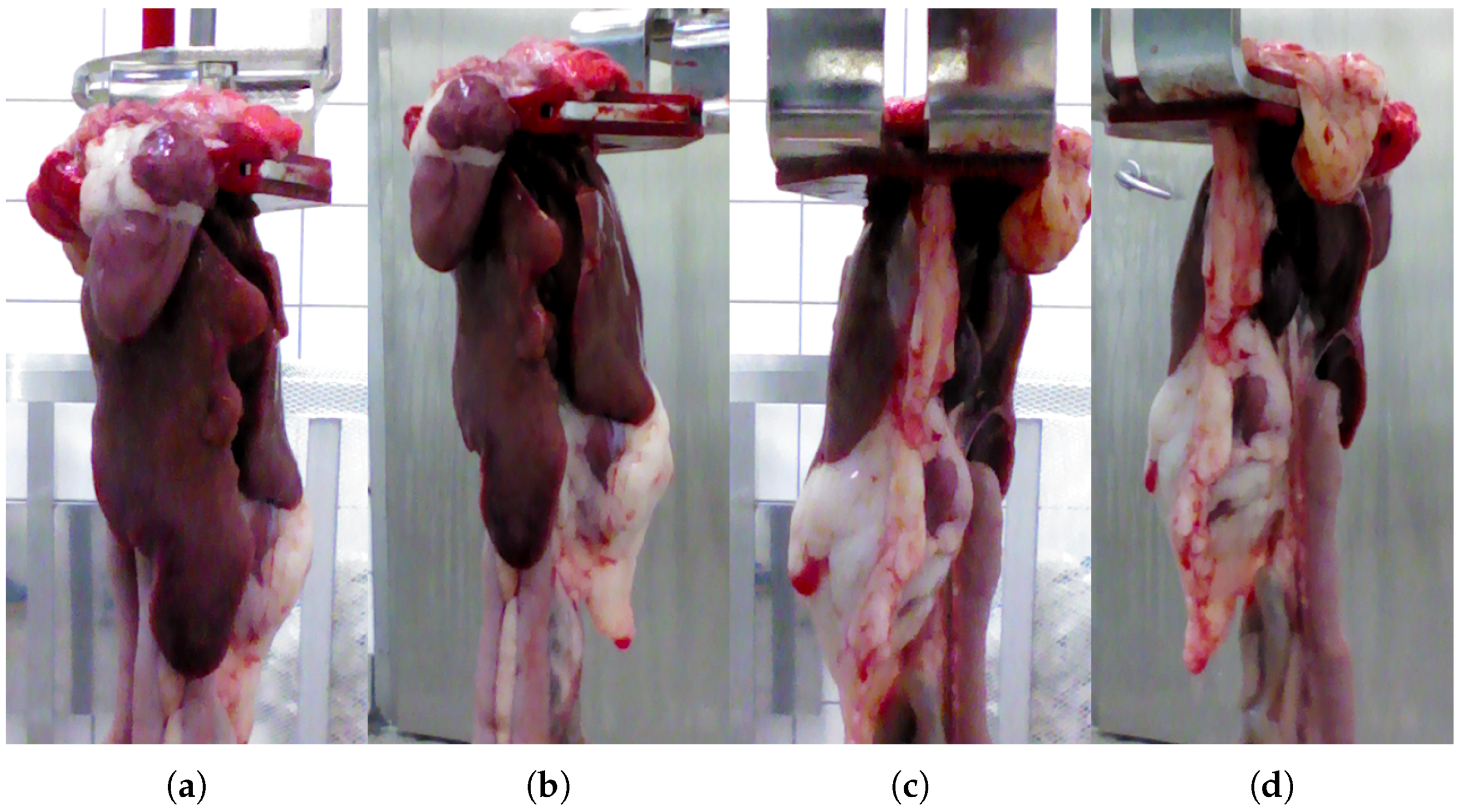 Sensors 18 00117 g001