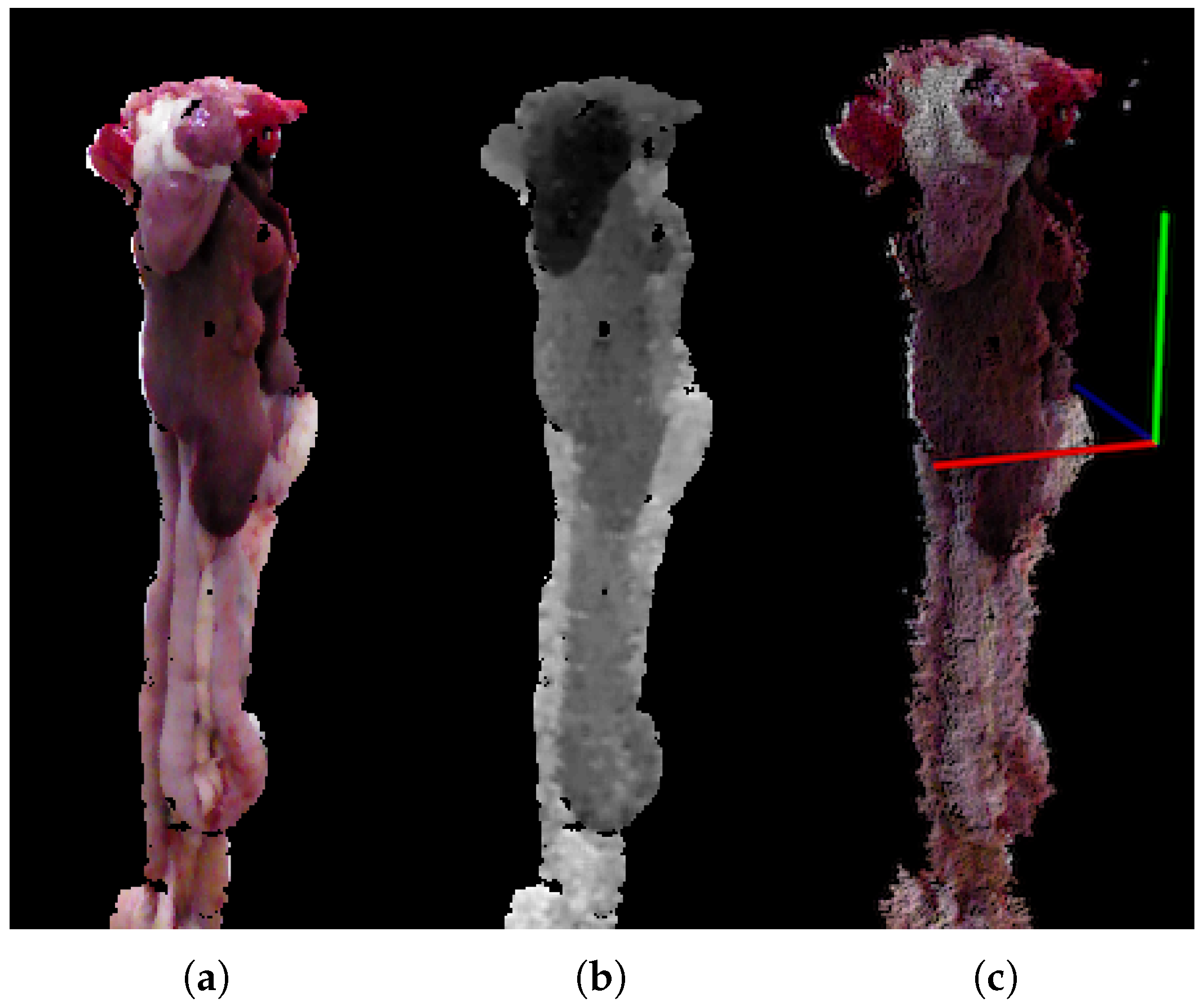 Sensors 18 00117 g002