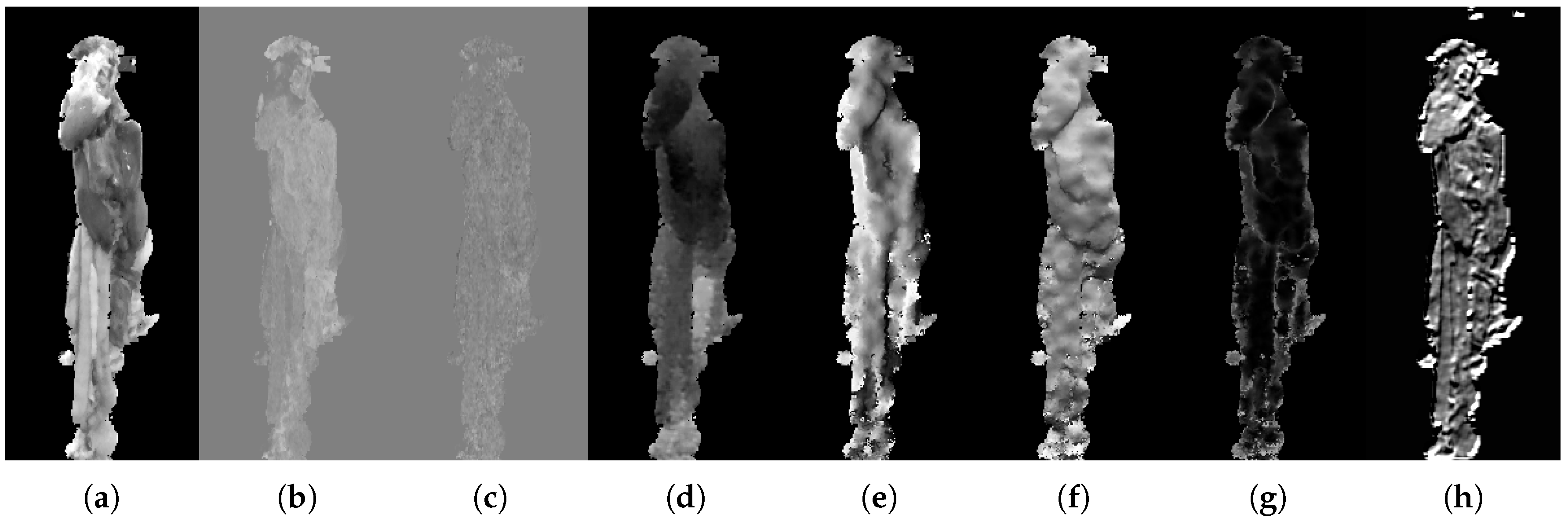 Sensors 18 00117 g005