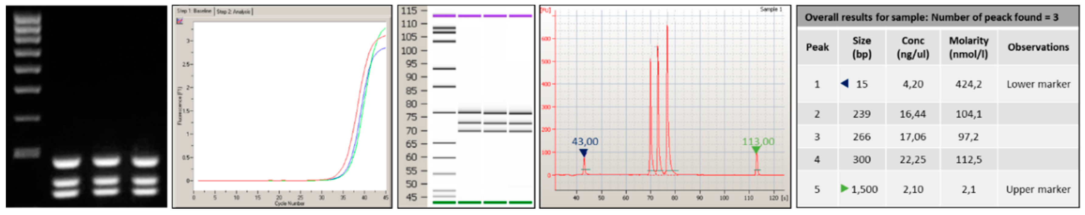 Sensors 18 00131 g003
