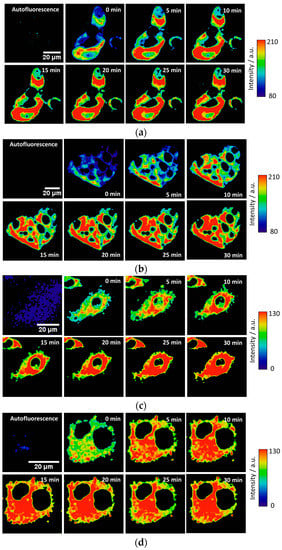 Sensors 18 00161 g0a1 550