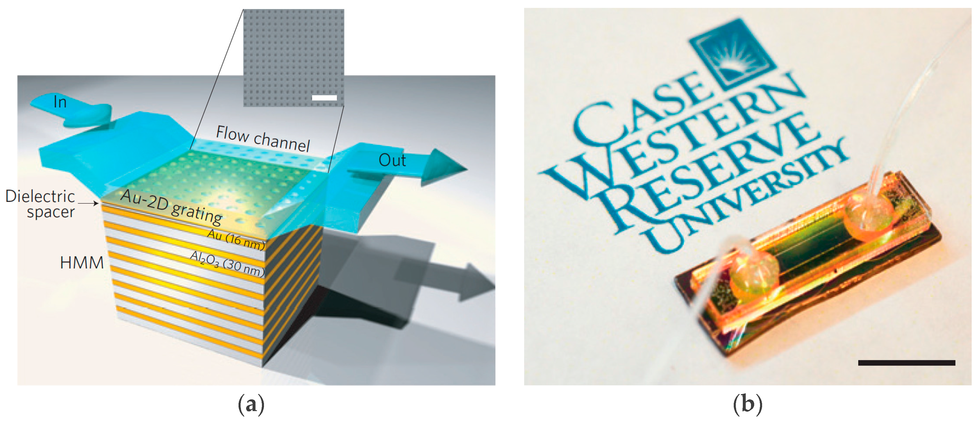 Sensors 18 00232 g013a