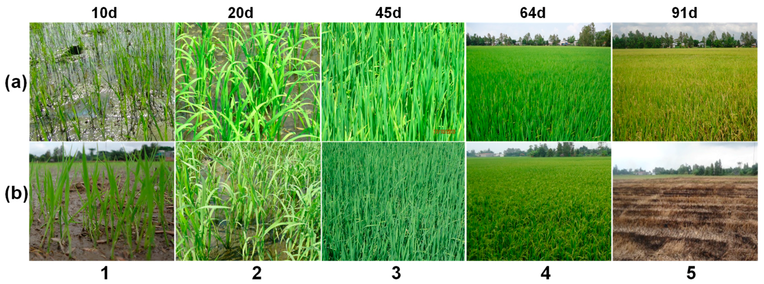 Sensors 18 00316 g005