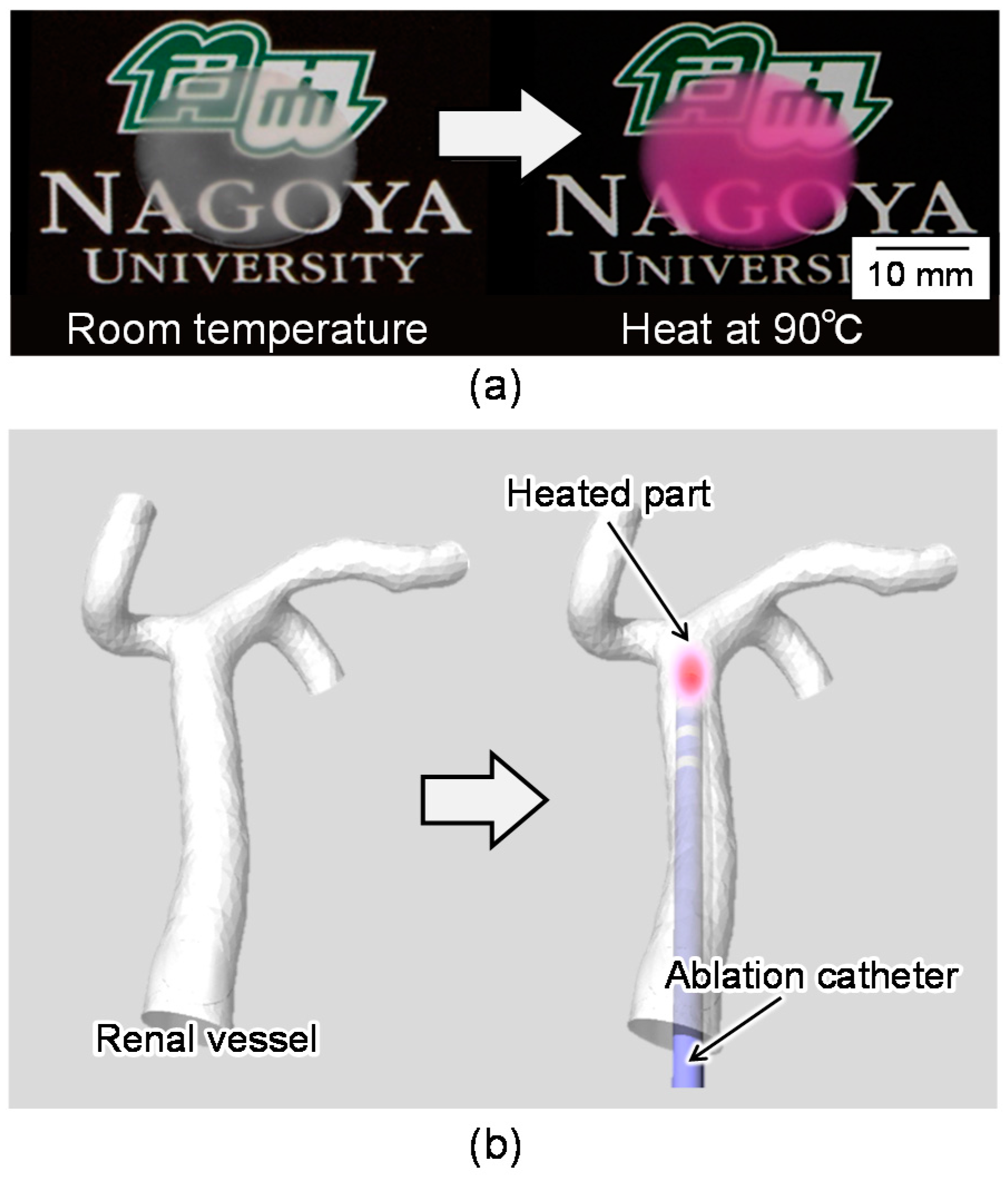 Sensors 18 00345 g001