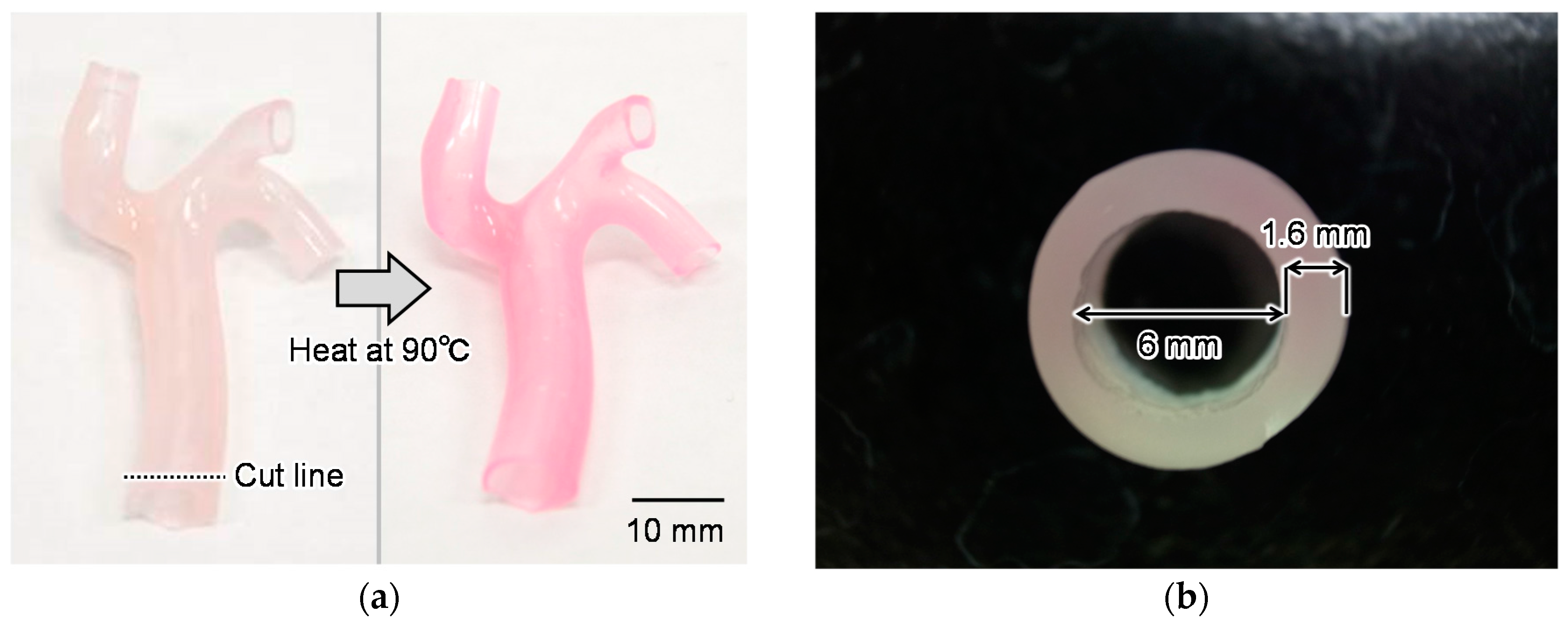 Sensors 18 00345 g005