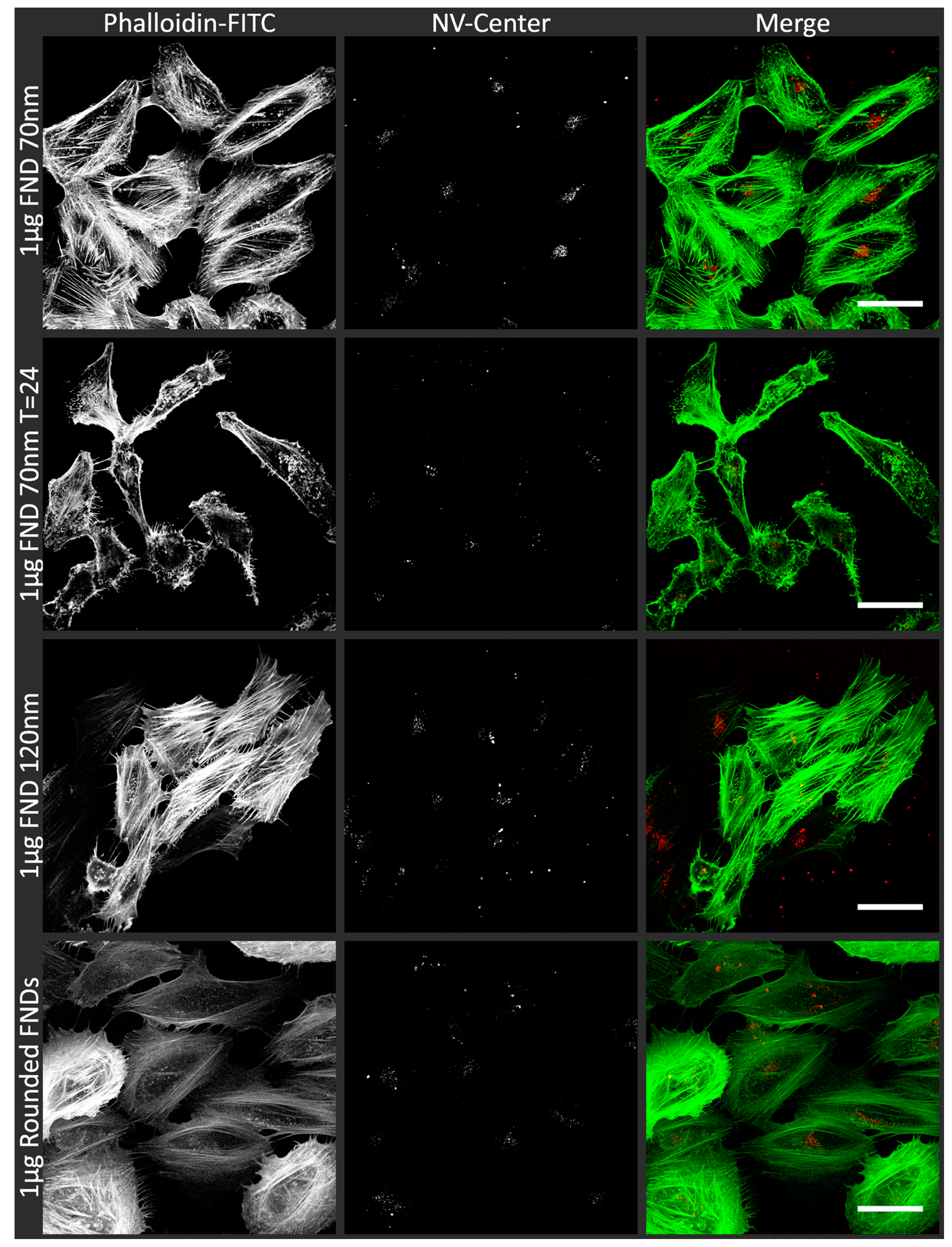 Sensors 18 00355 g001
