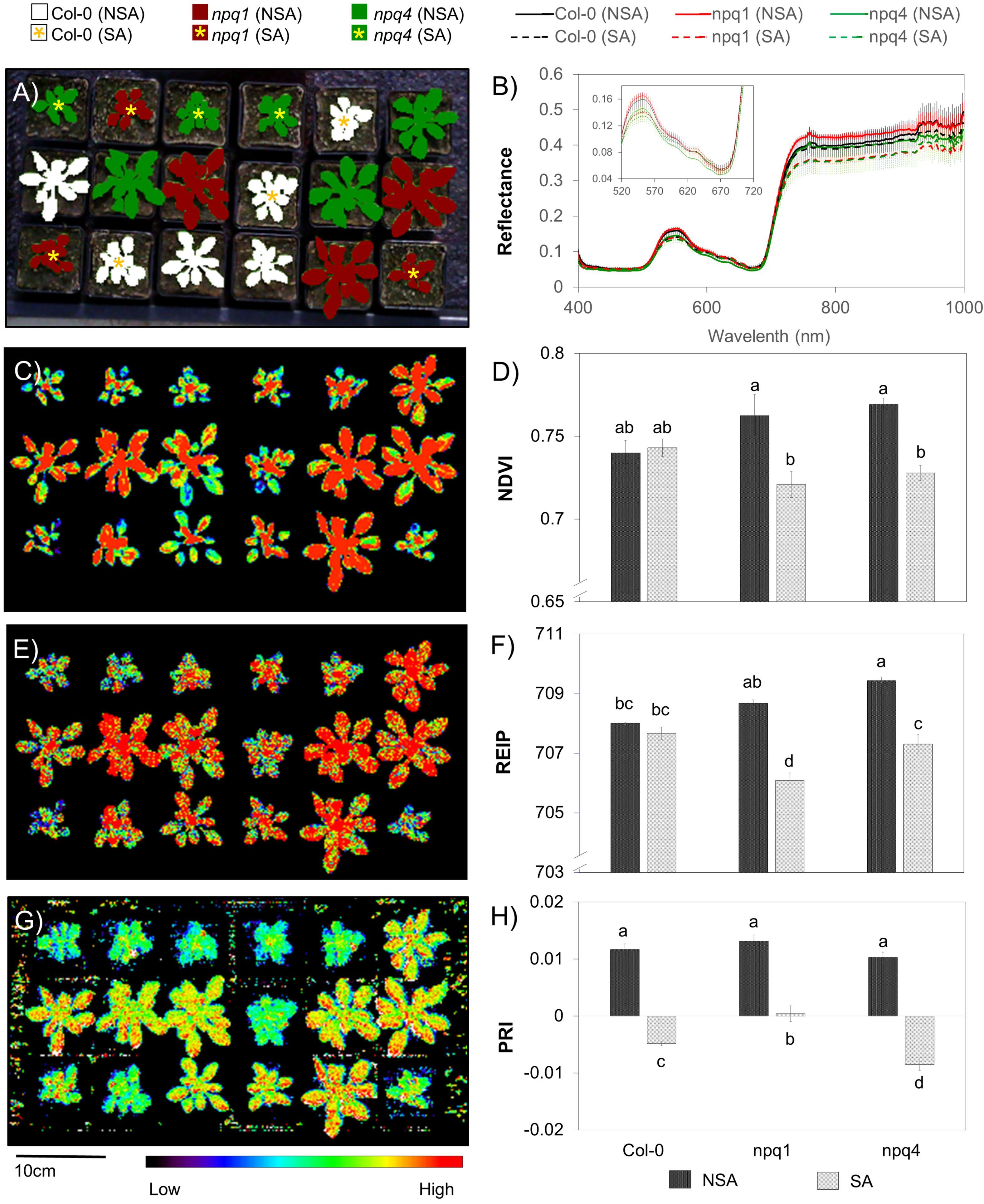 Sensors 18 00441 g006
