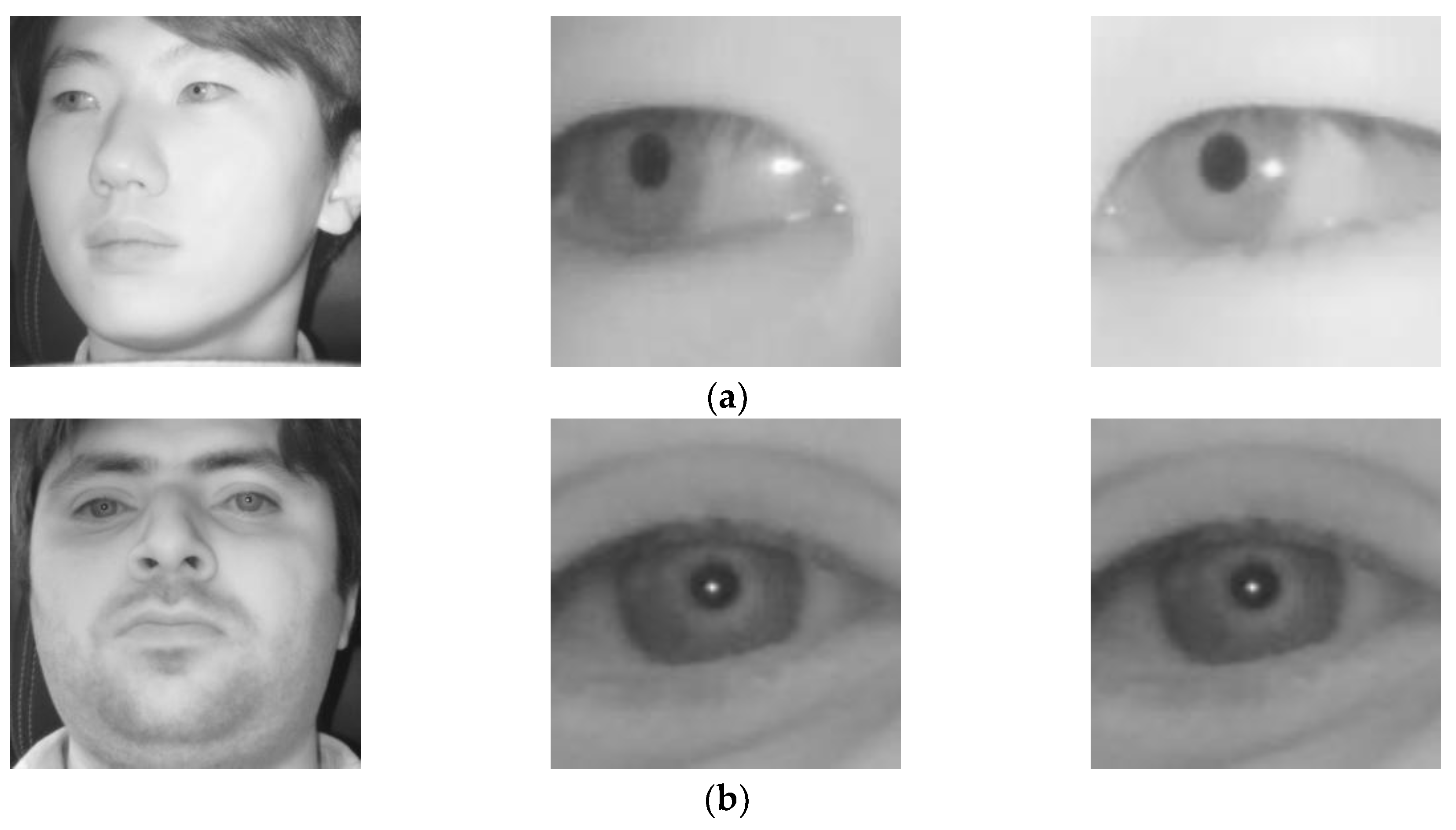 Sensors 18 00456 g010a