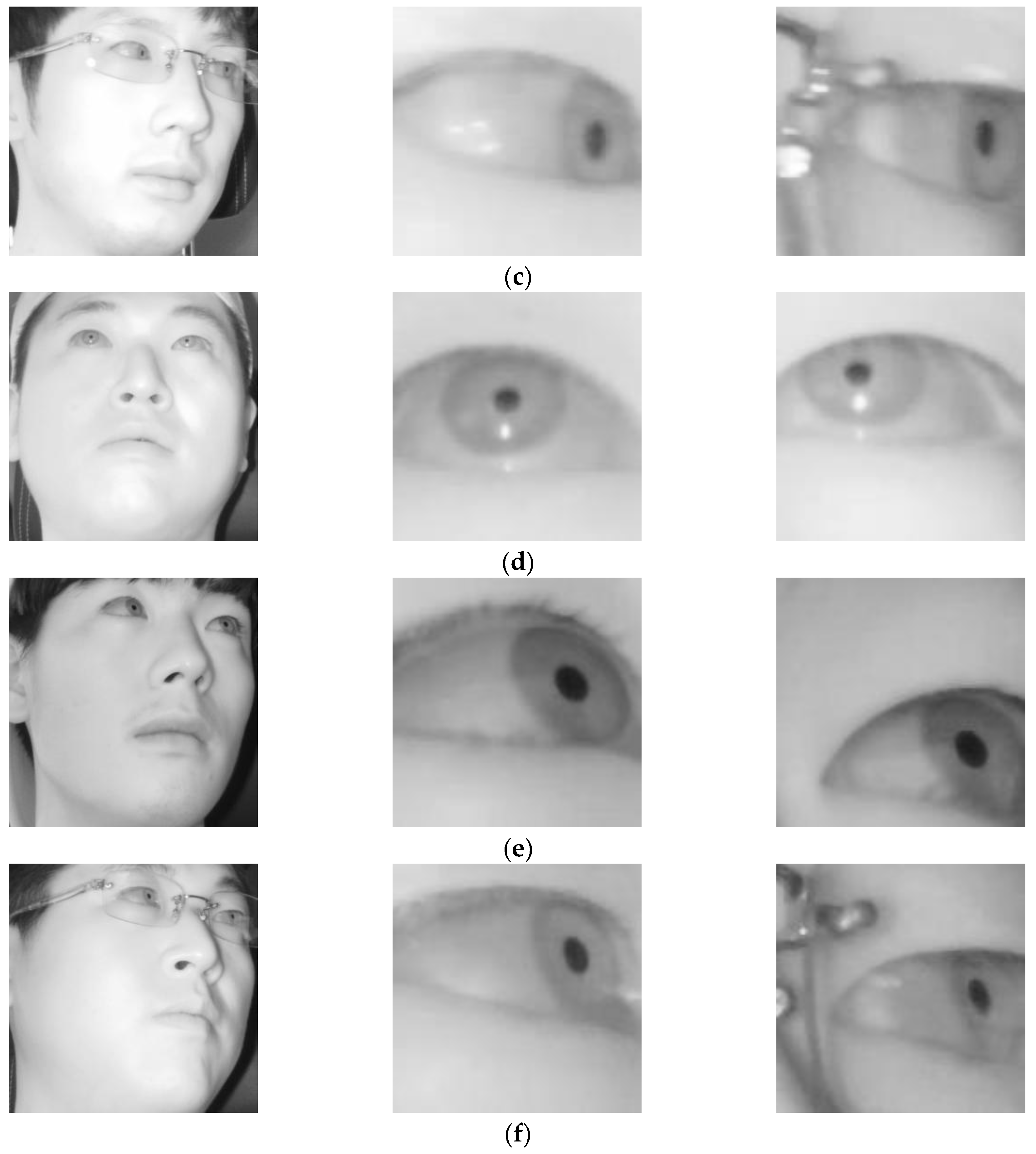 Sensors 18 00456 g010b