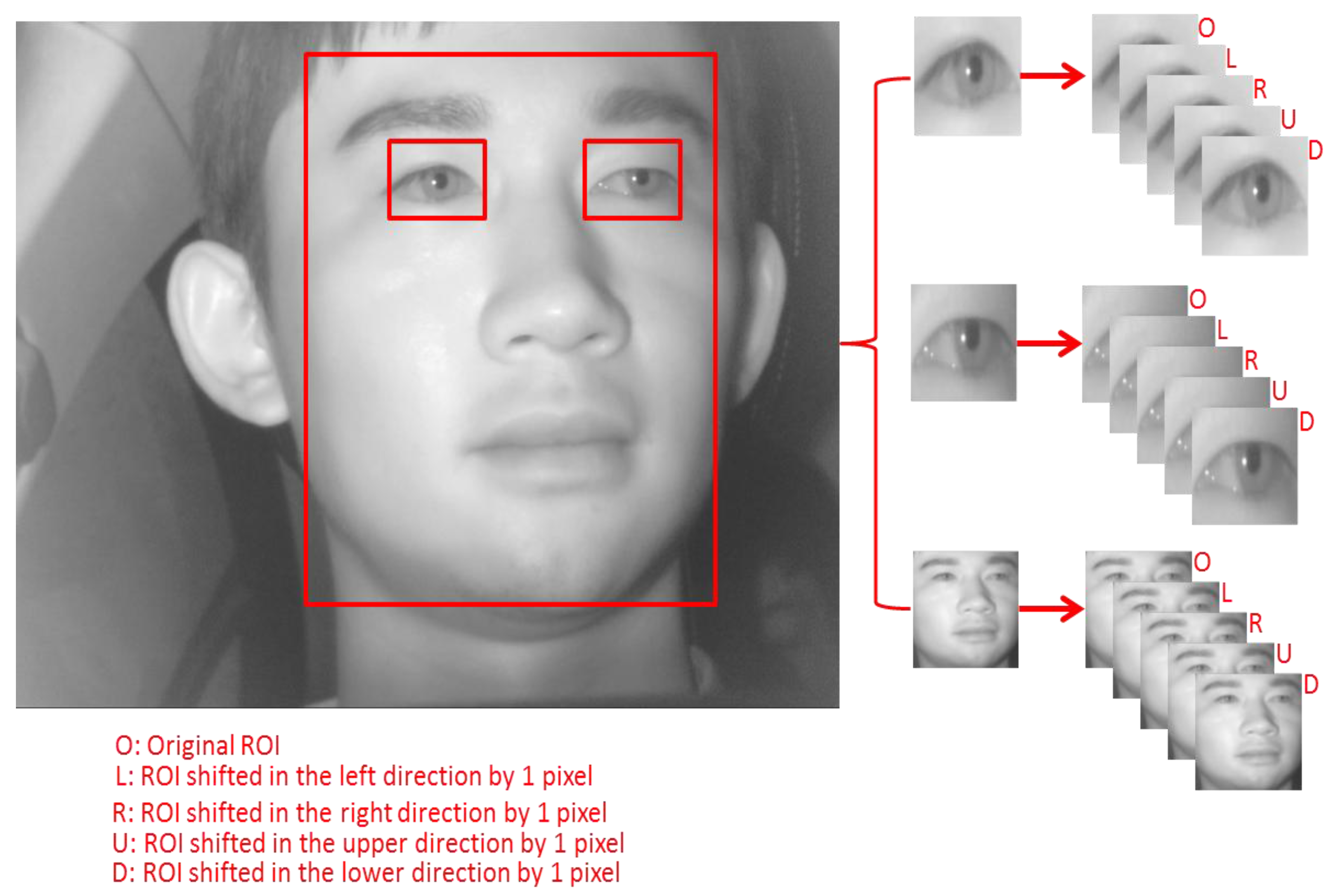 Sensors 18 00456 g011