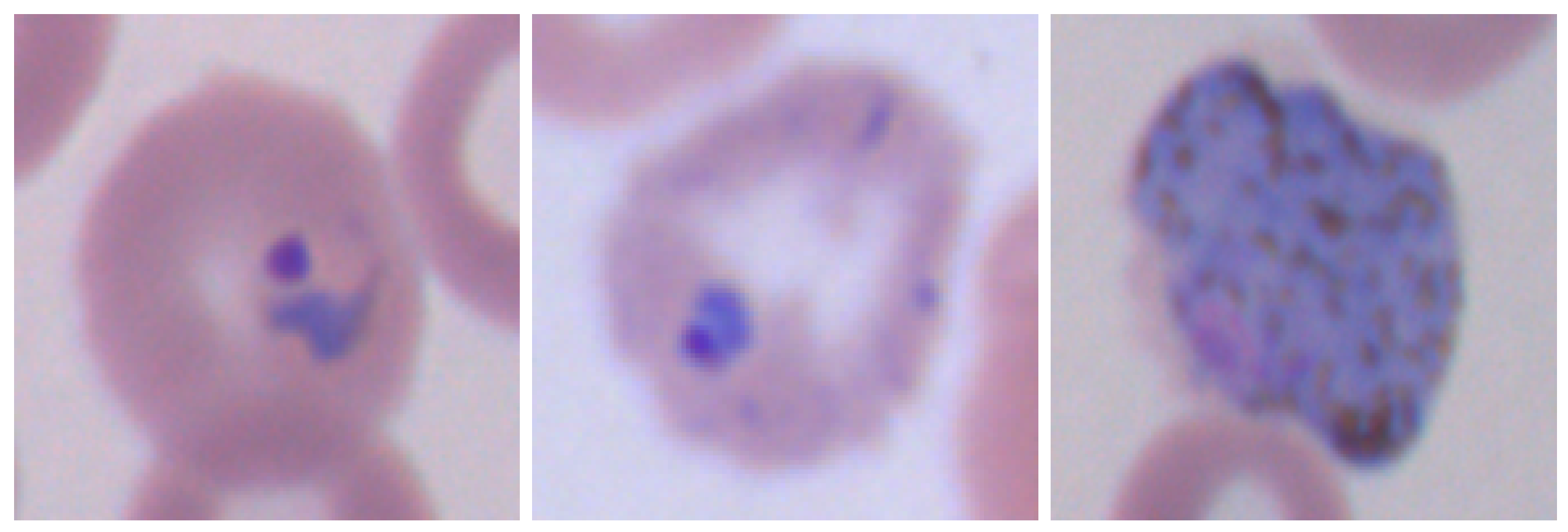 Sensors 18 00513 g003b