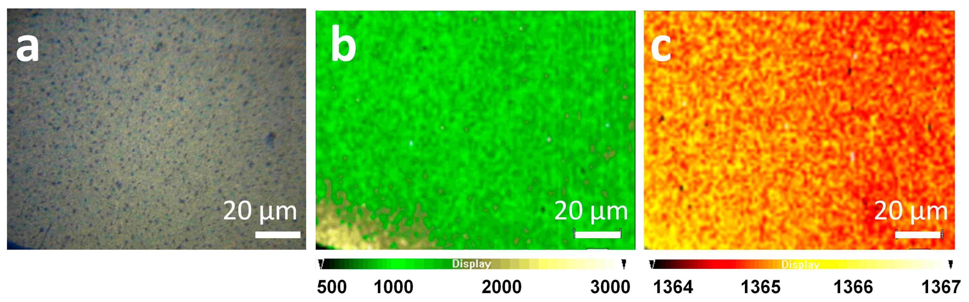 Sensors 18 00521 g006