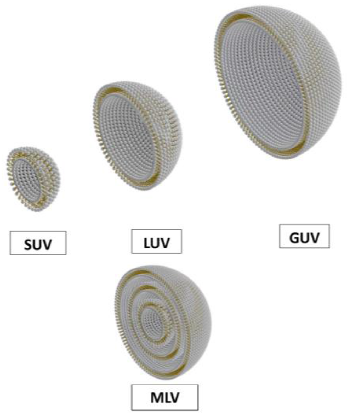 Sensors 18 00599 g001