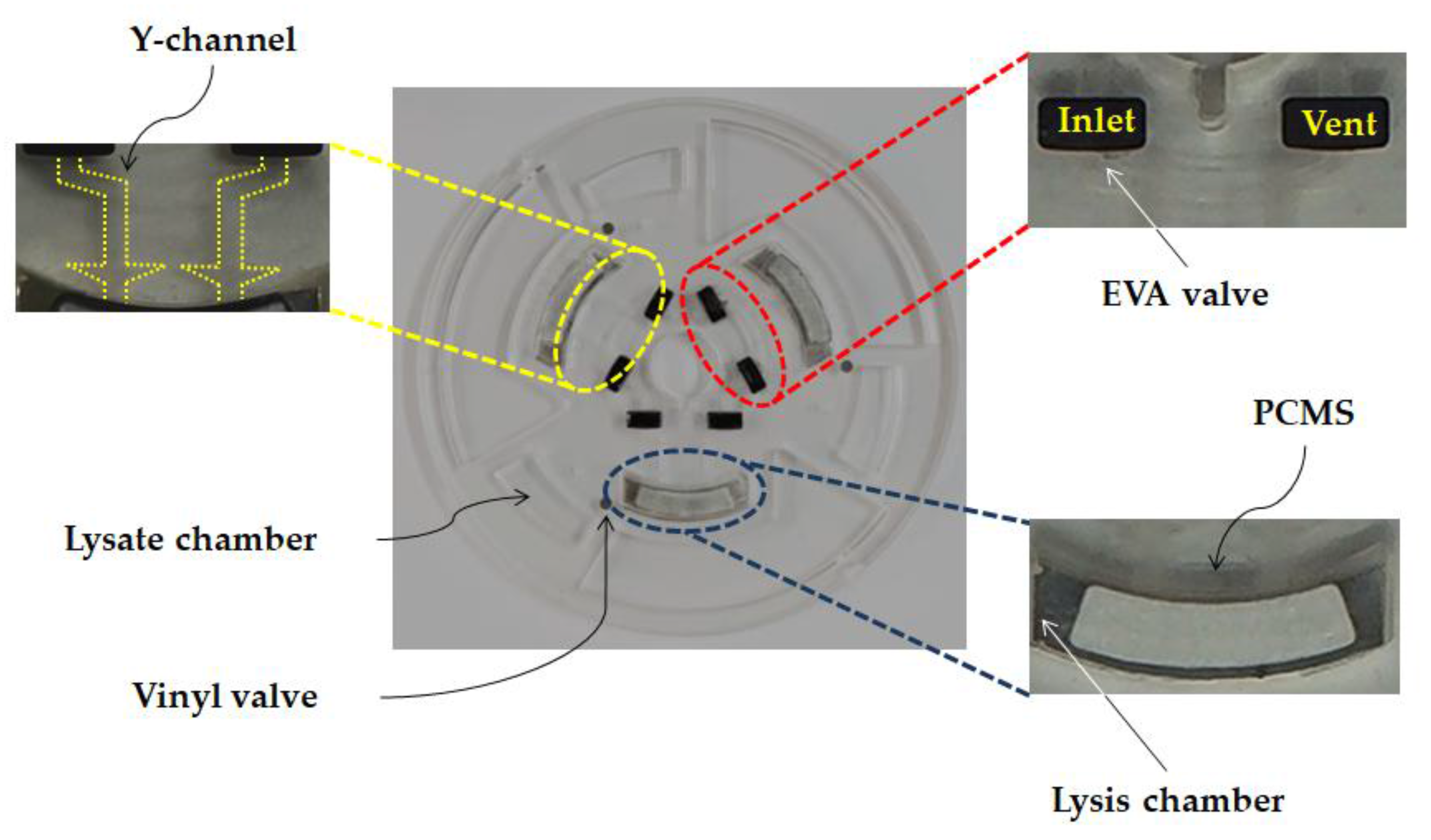 Sensors 18 00687 g005