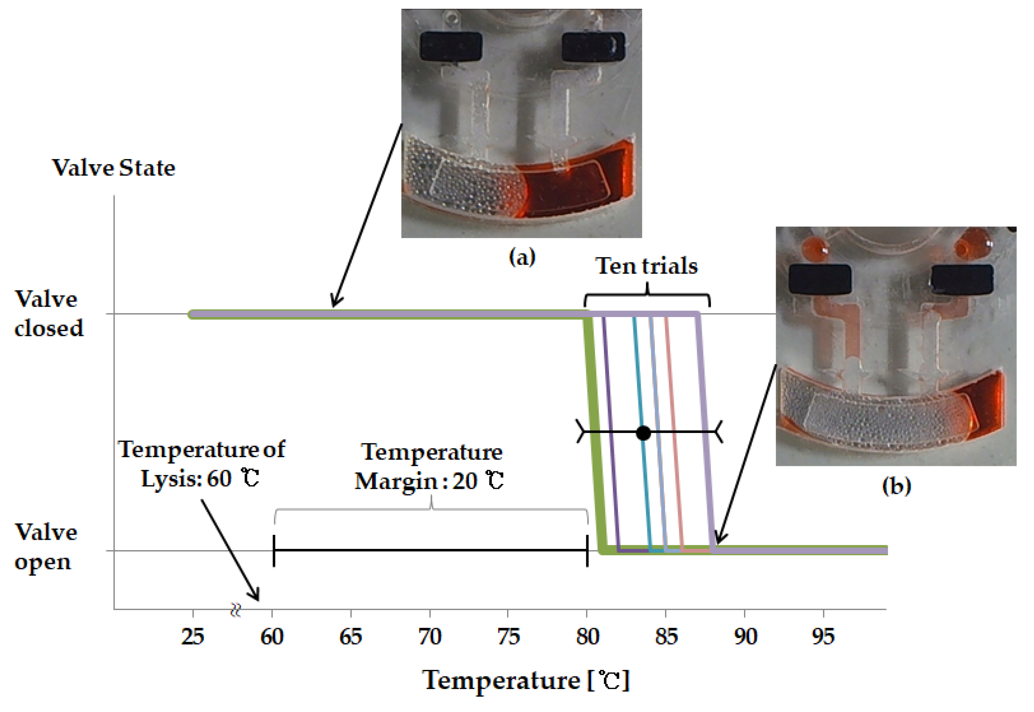 Sensors 18 00687 g006