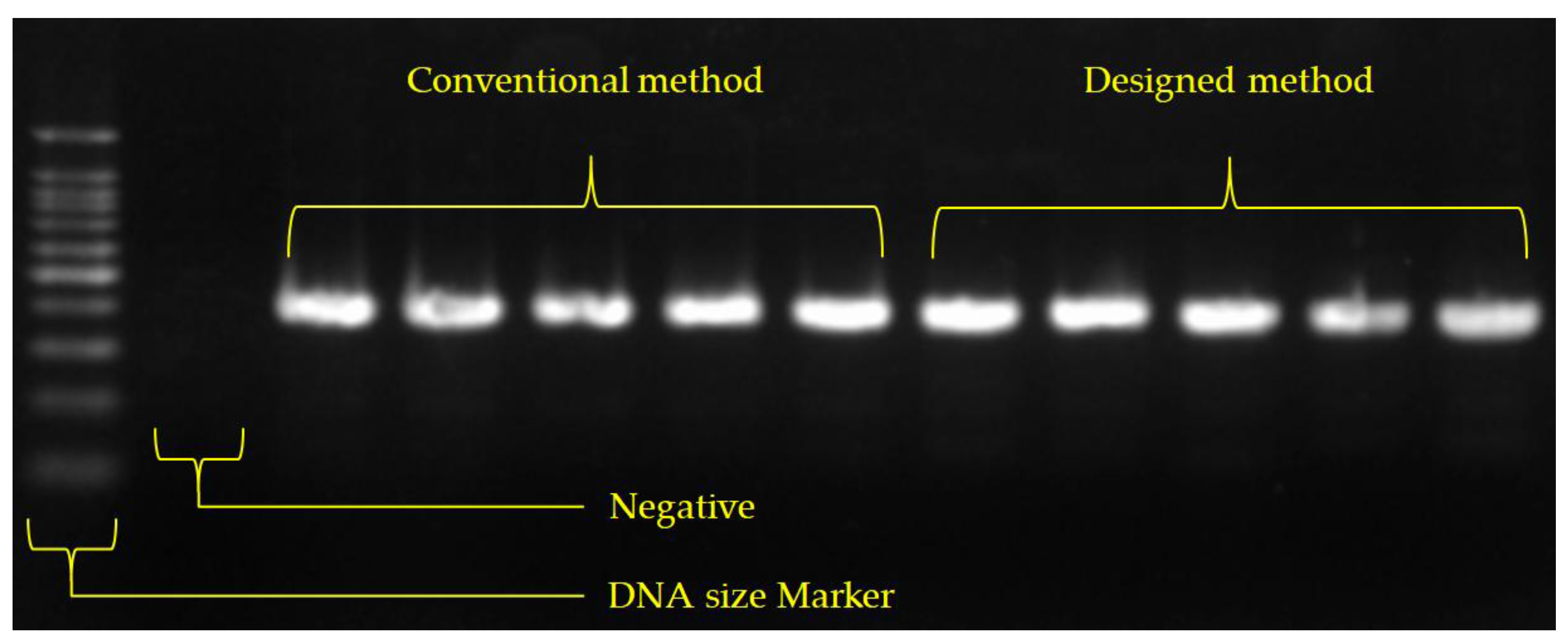 Sensors 18 00687 g009