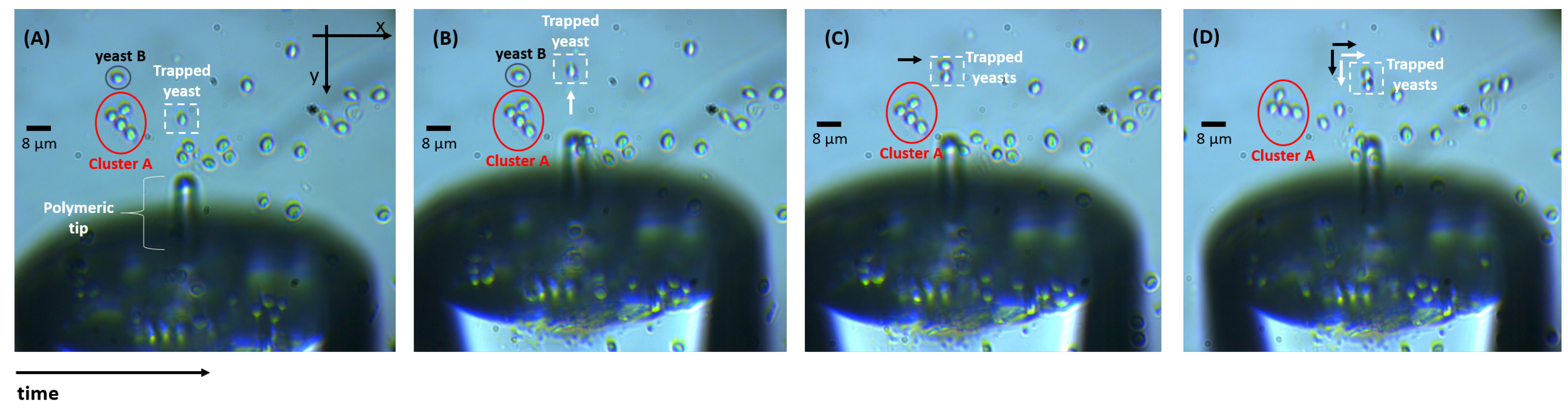 Sensors 18 00710 g008