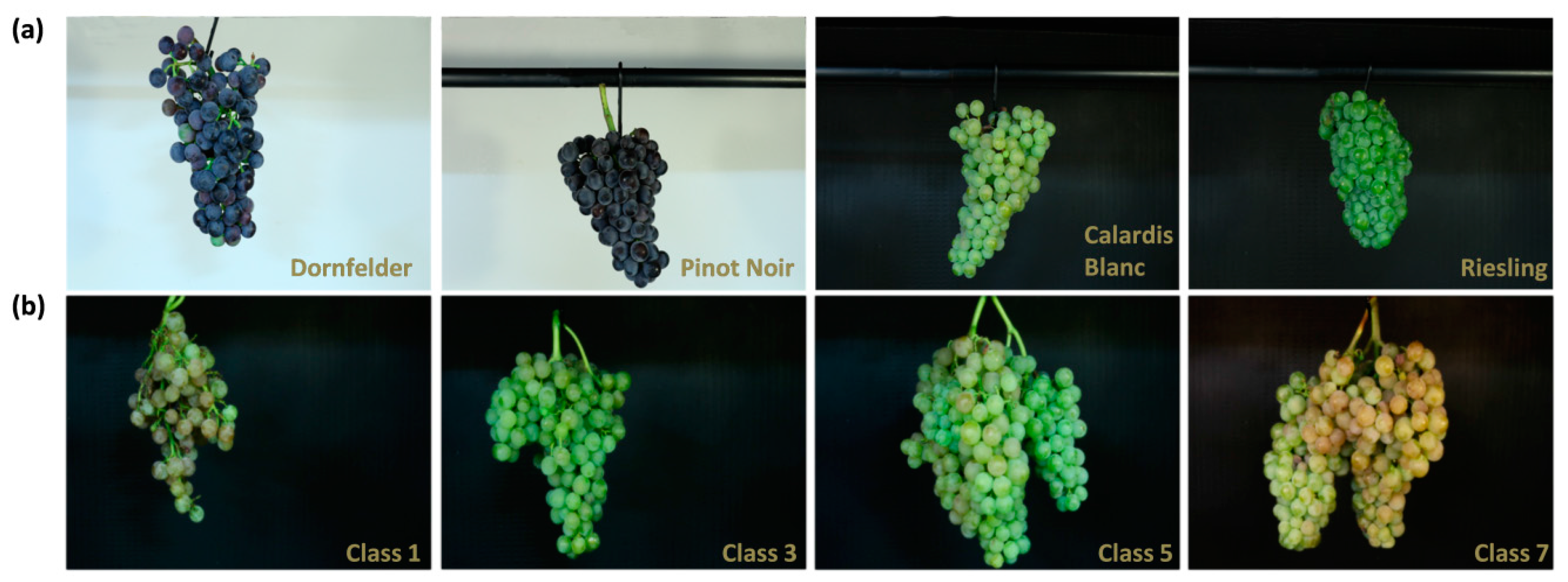 Sensors 18 00763 g001