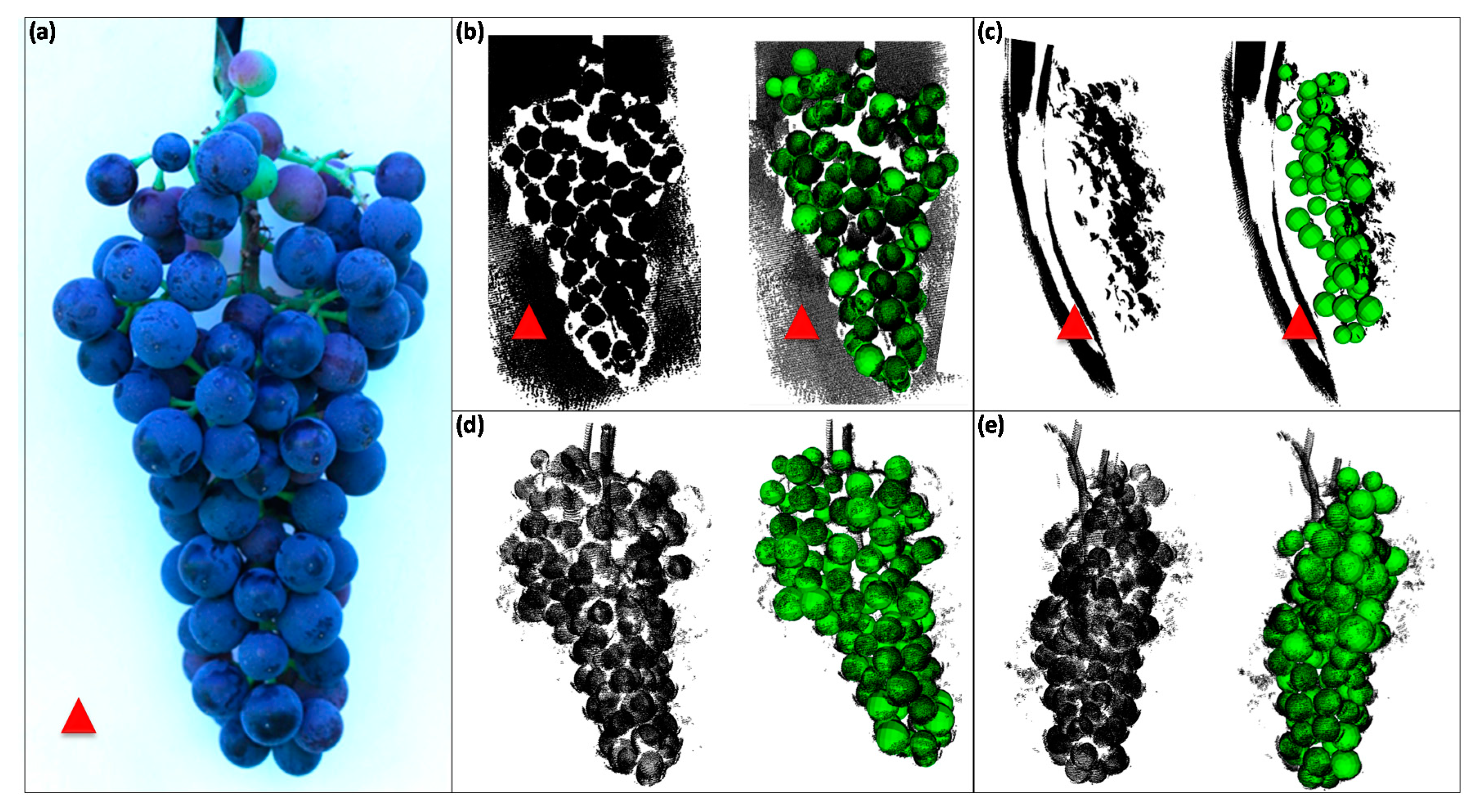 Sensors 18 00763 g006