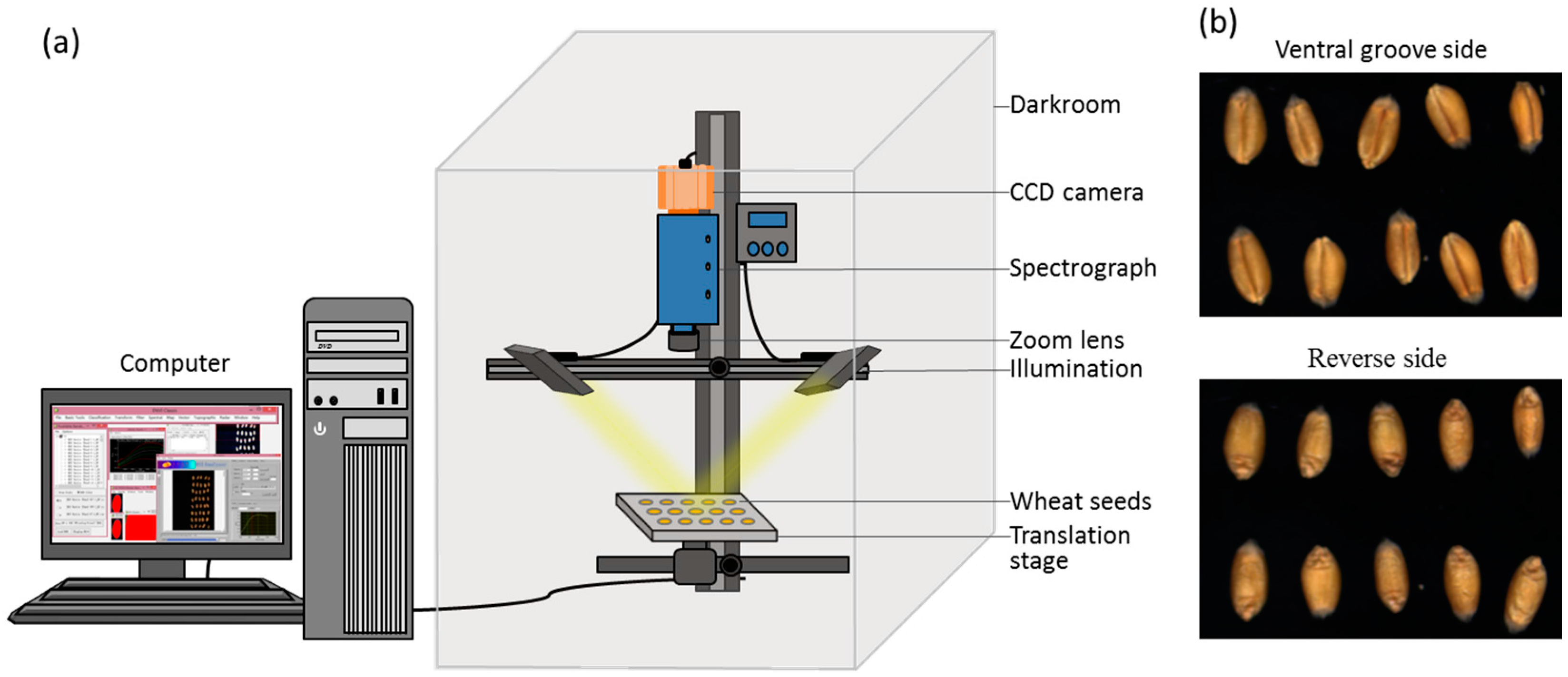 Sensors 18 00813 g001 Sensors 18 00813 g001