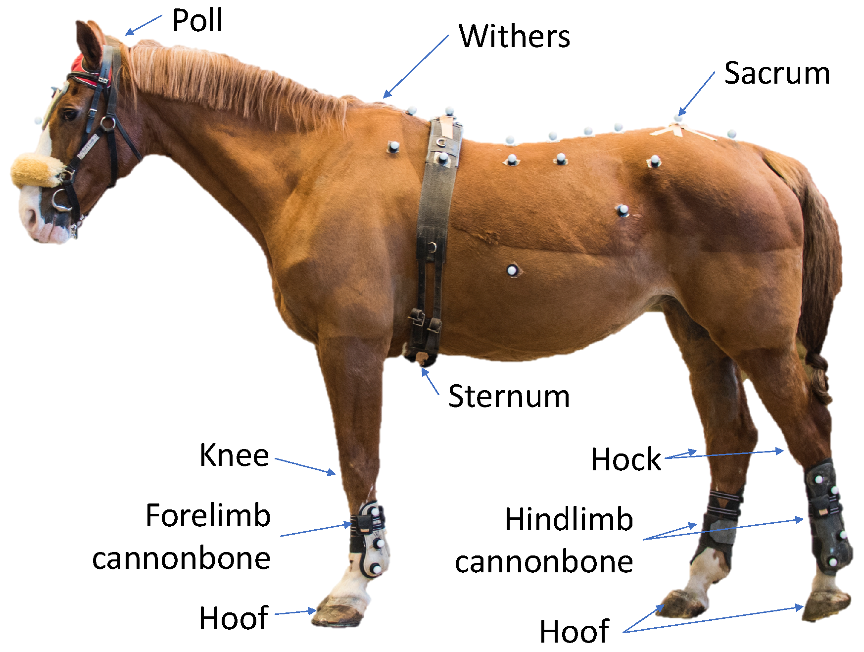 Sensors 18 00850 g001