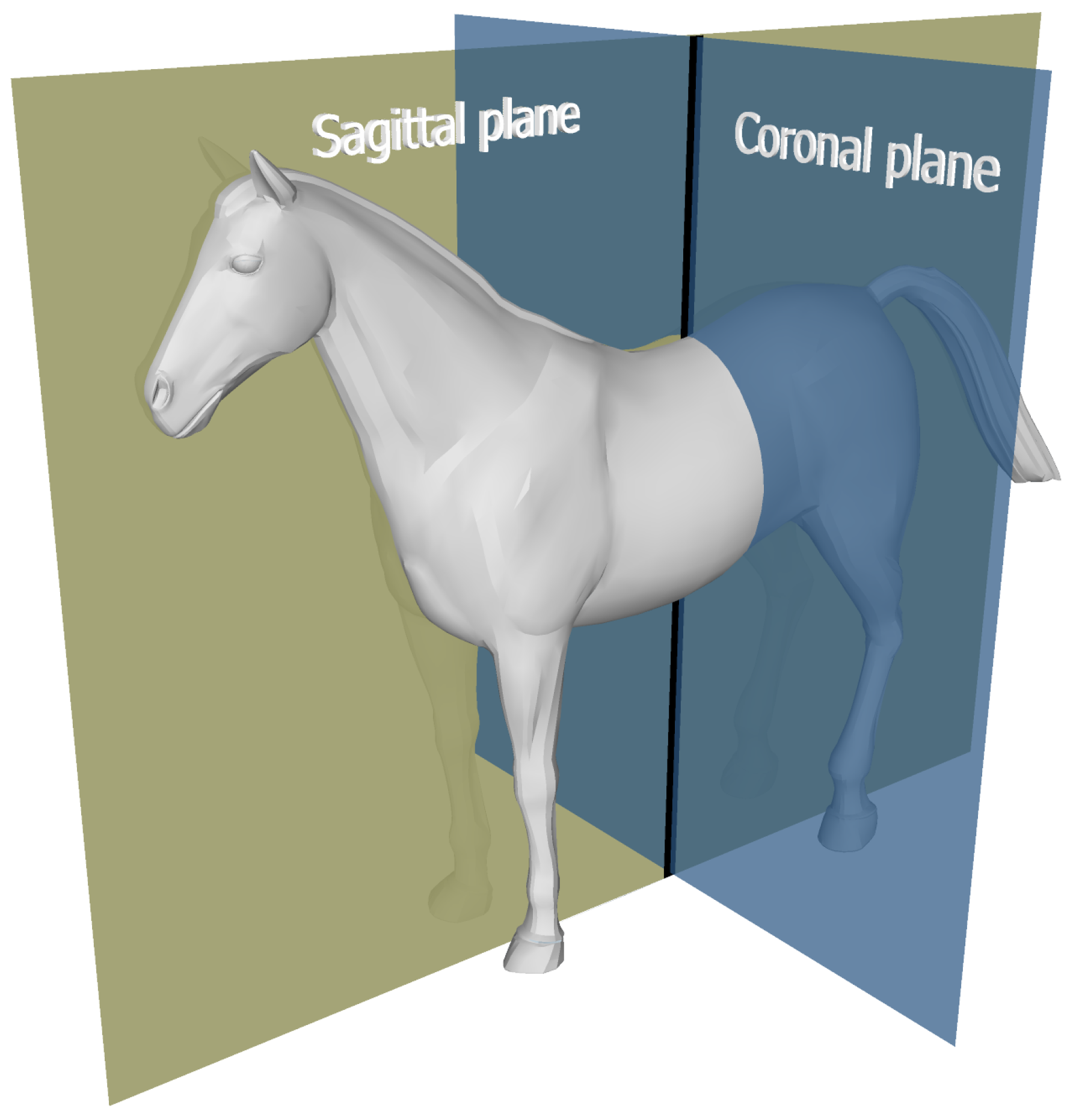 Sensors 18 00850 g002