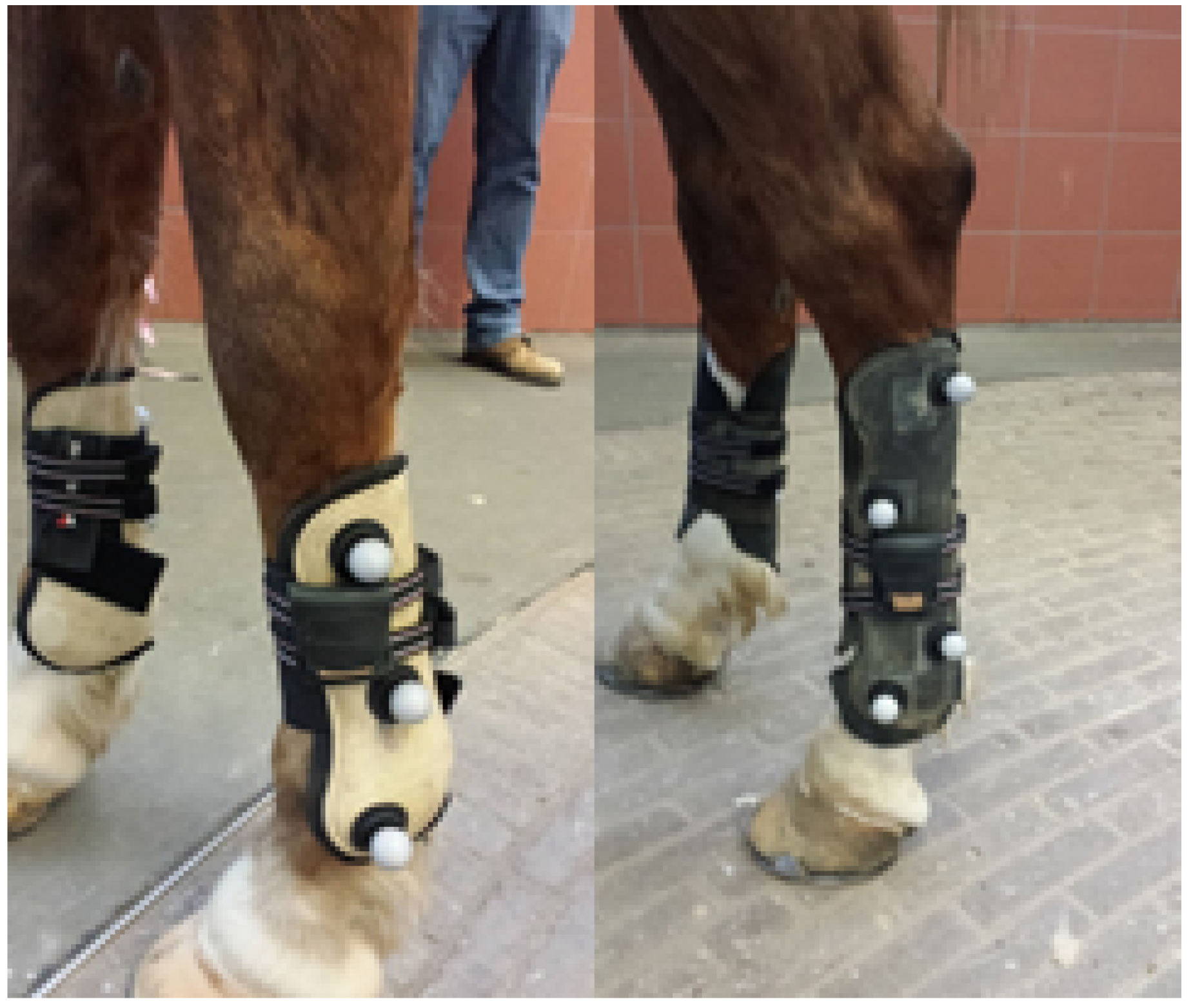 Sensors 18 00850 g009