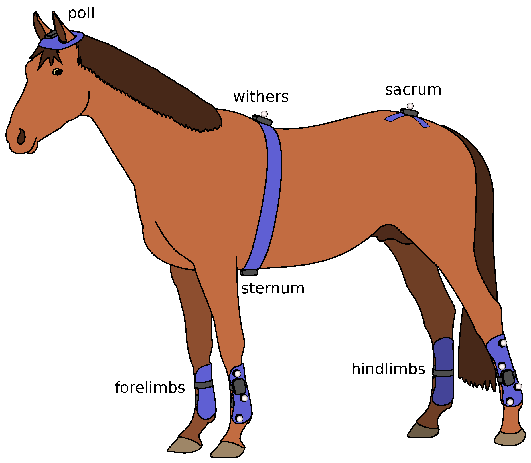 Sensors 18 00850 g010