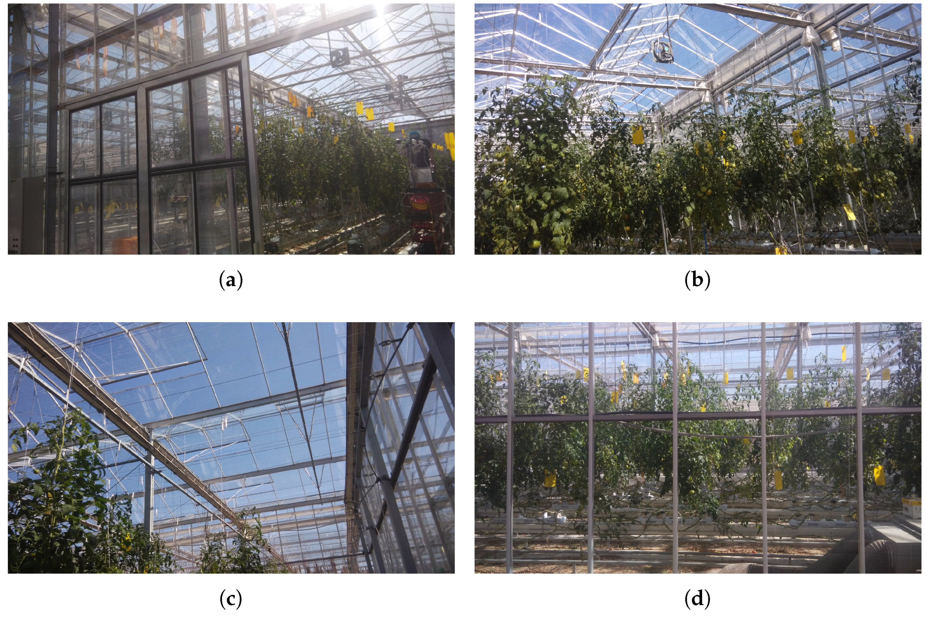 Sensors 18 00861 g006