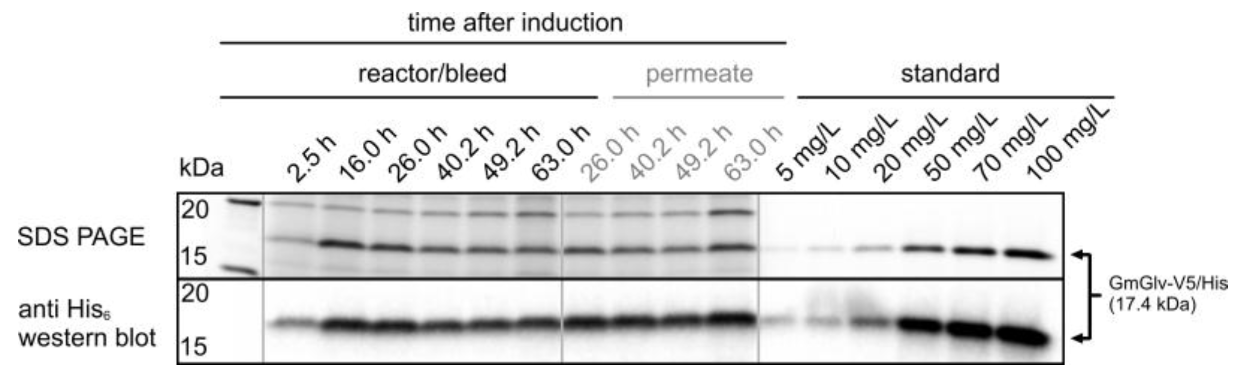 Sensors 18 00900 g010