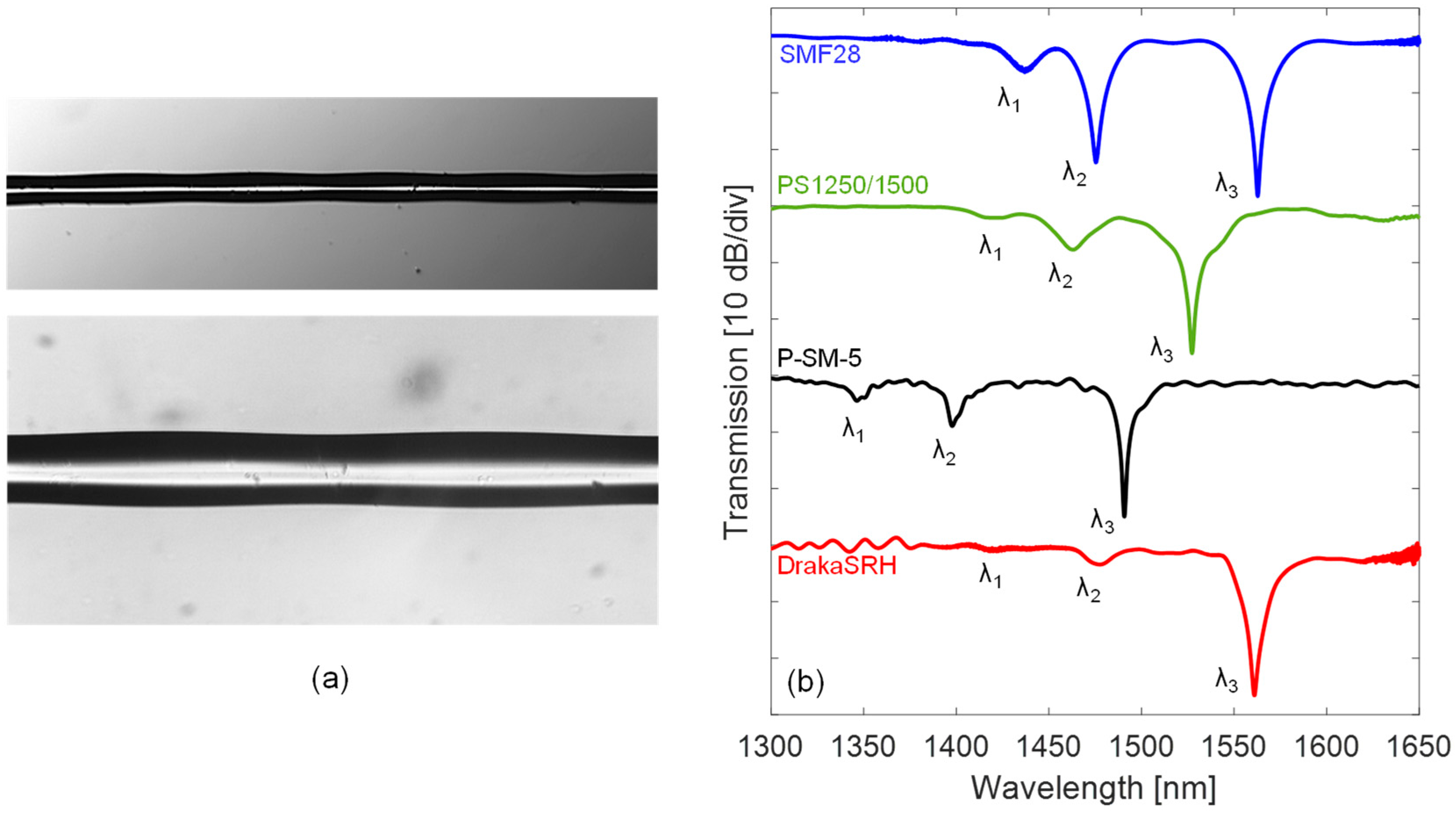 Sensors 18 00918 g003
