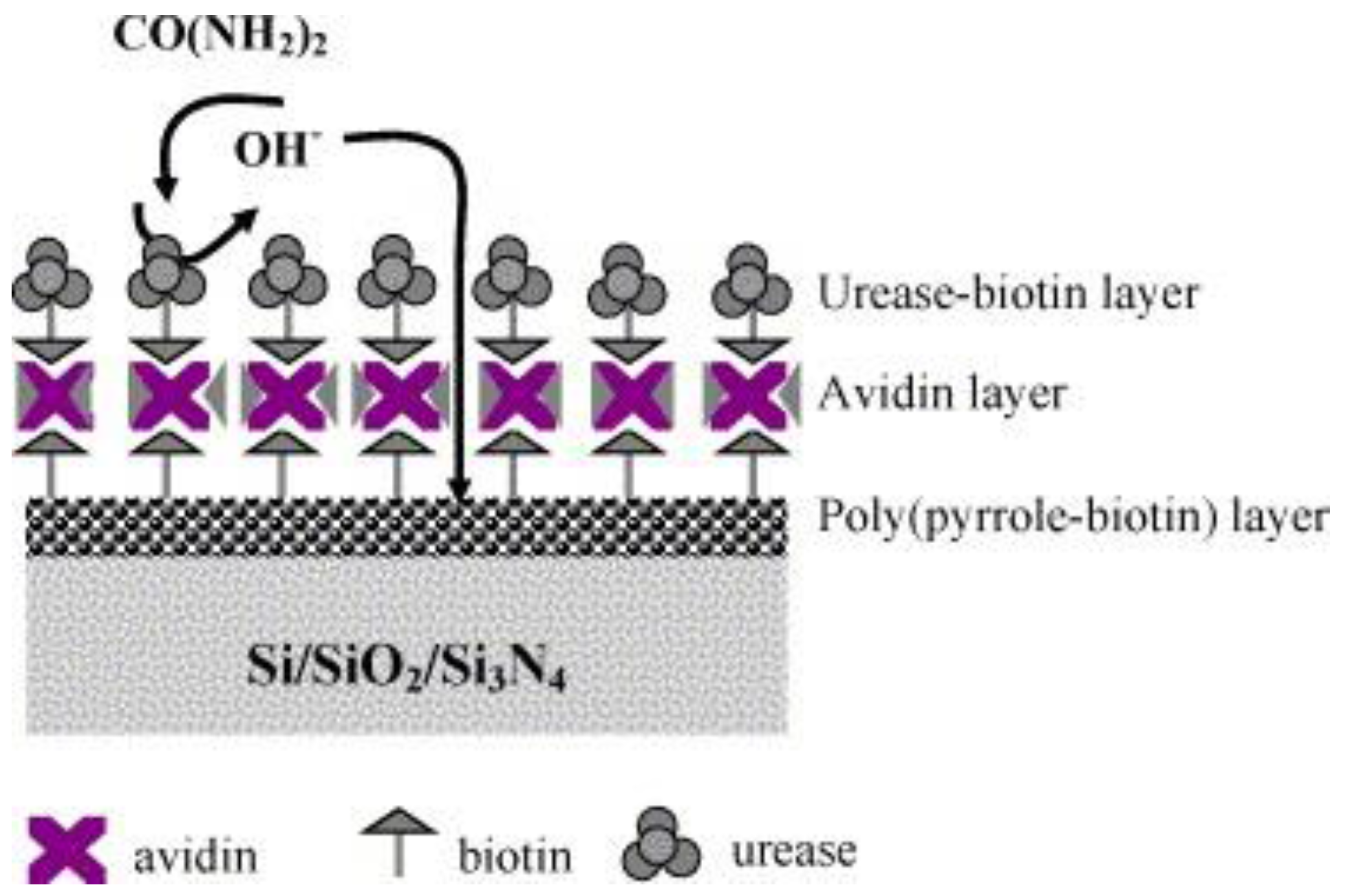 Sensors 18 00942 g002