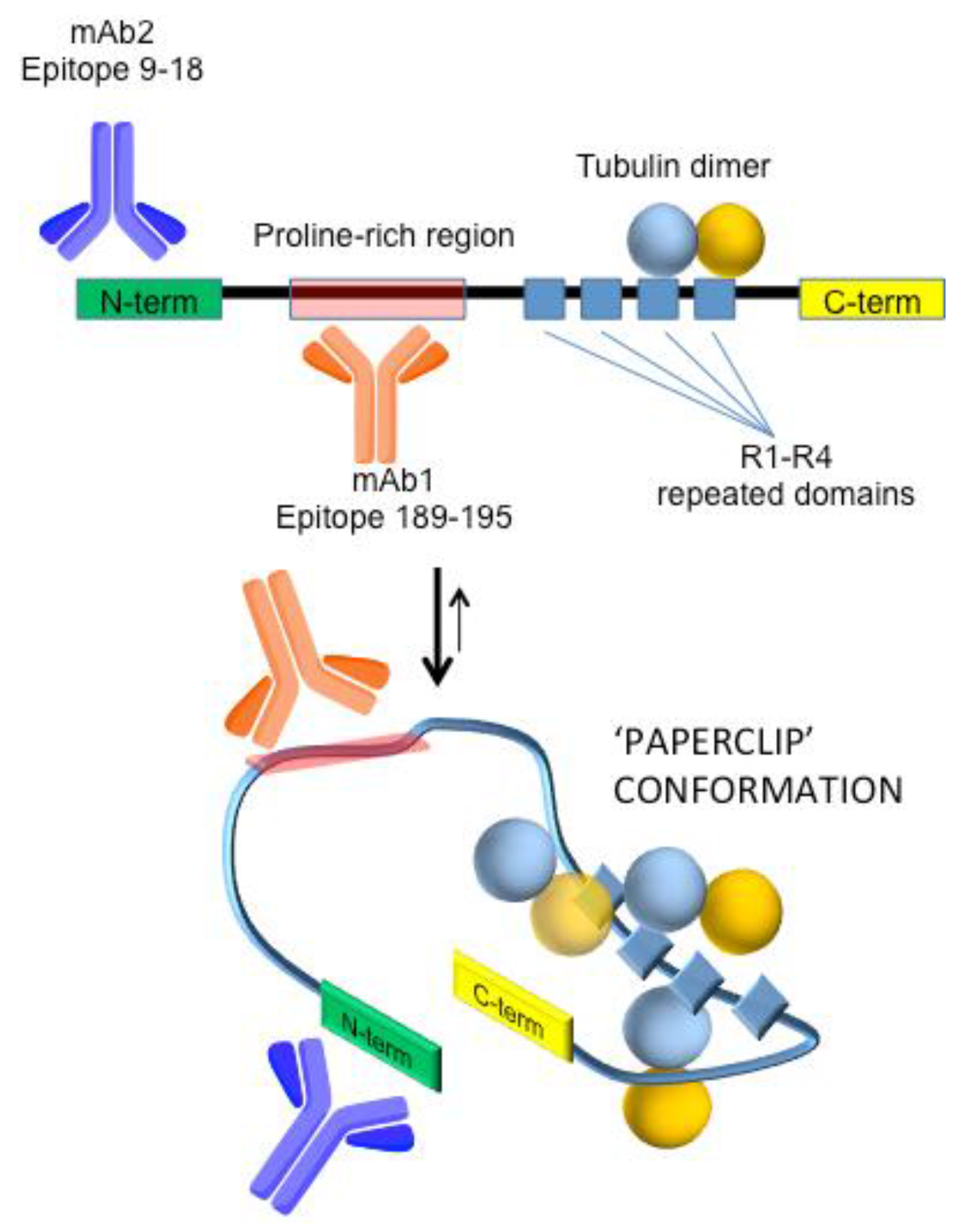 Sensors 18 00946 g001