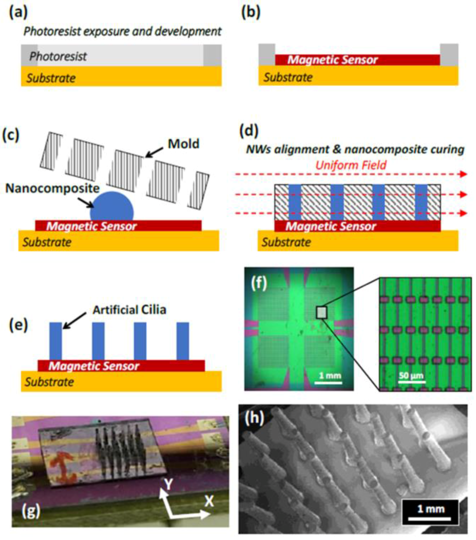 Sensors 18 00948 g013