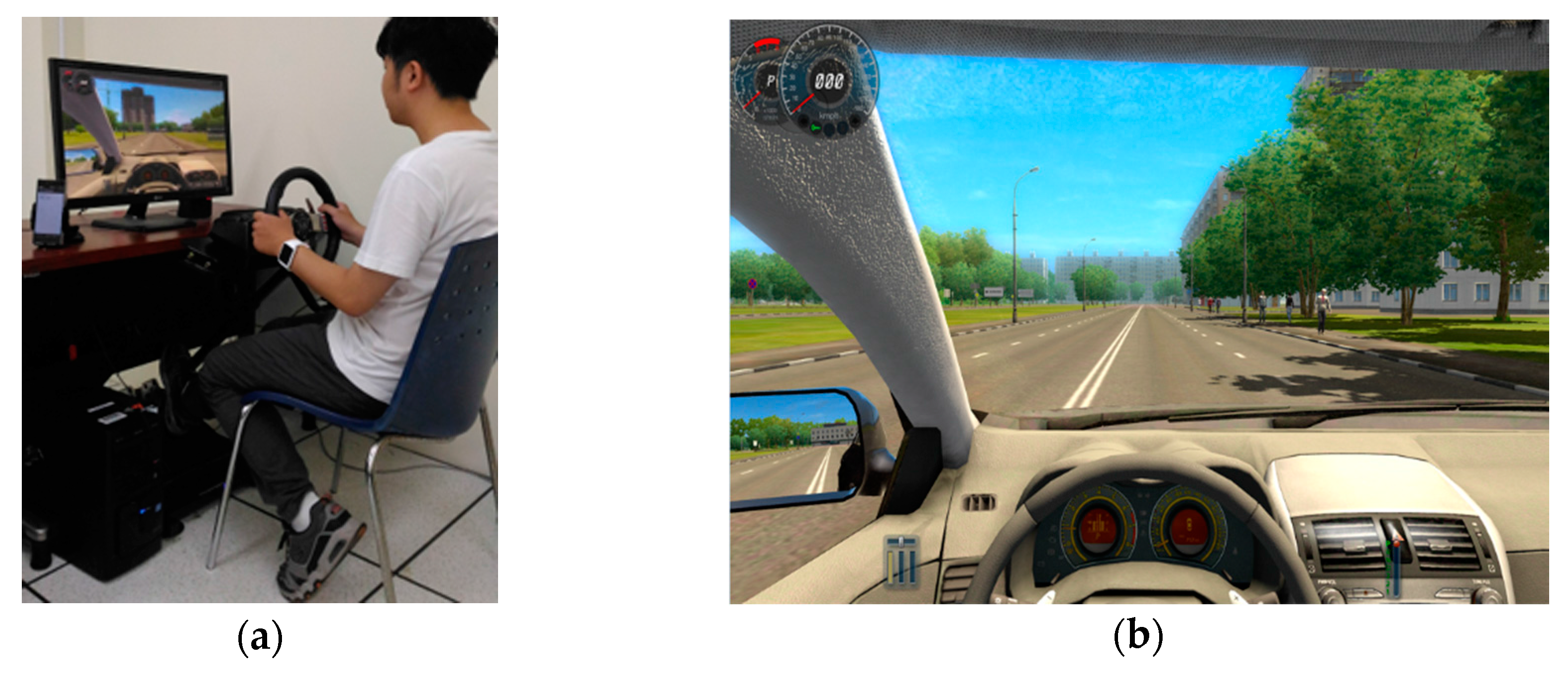 Sensors 18 01007 g001