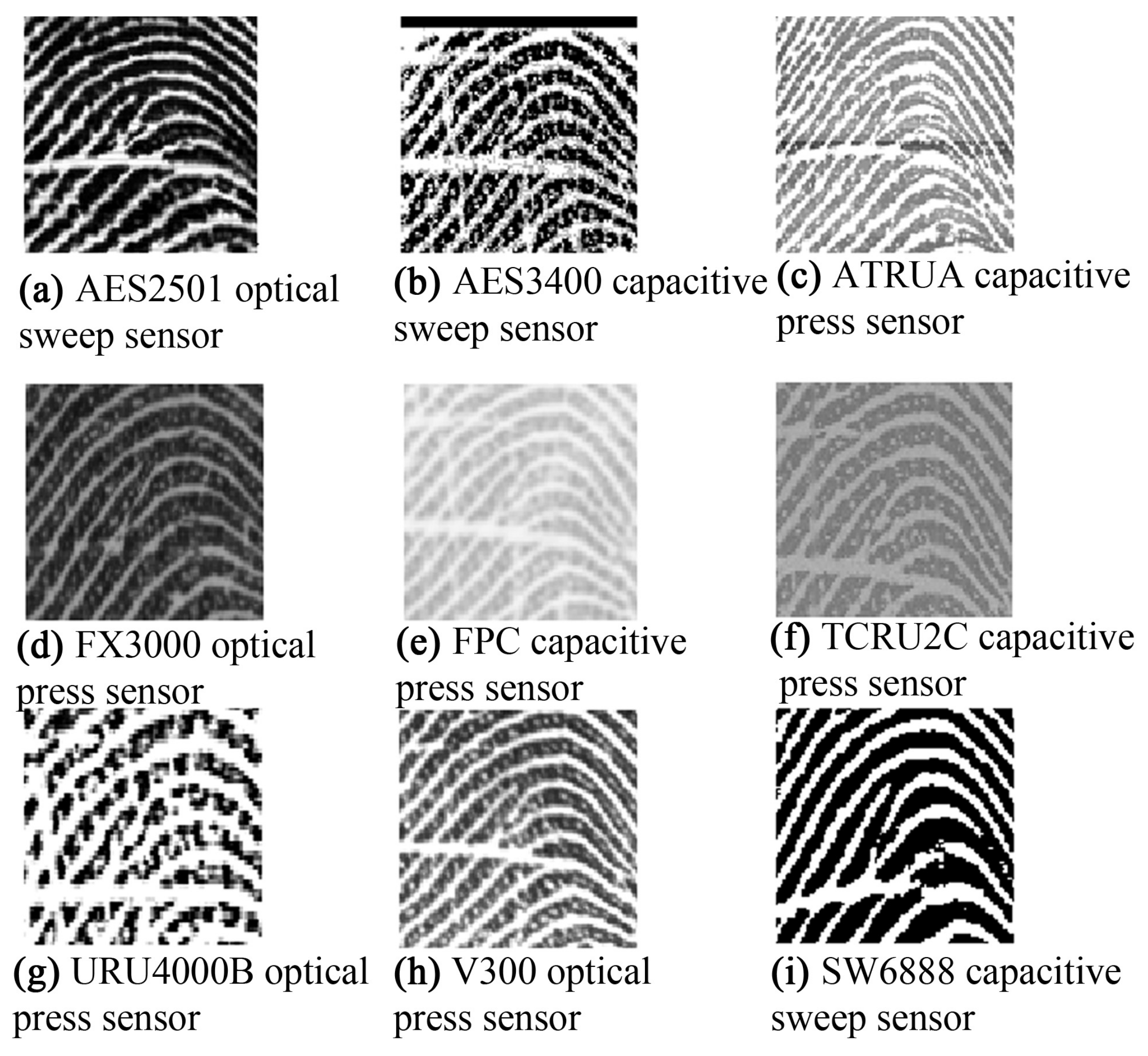 Sensors 18 01008 g001