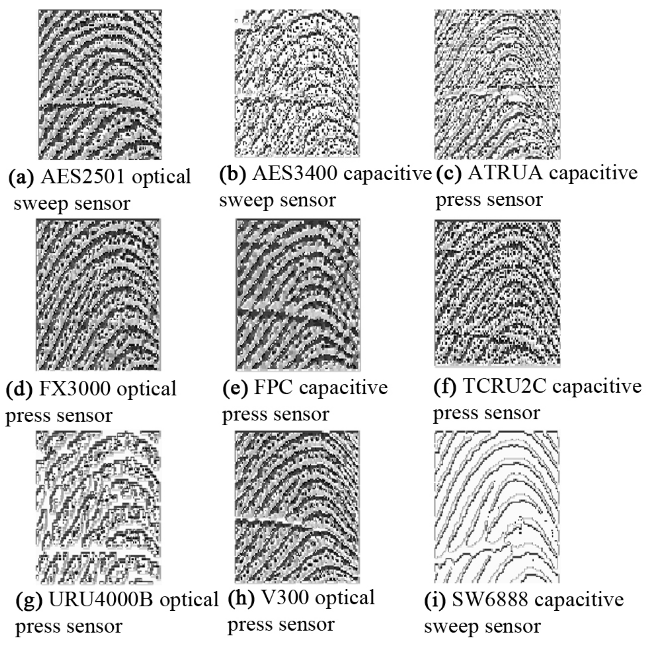 Sensors 18 01008 g002