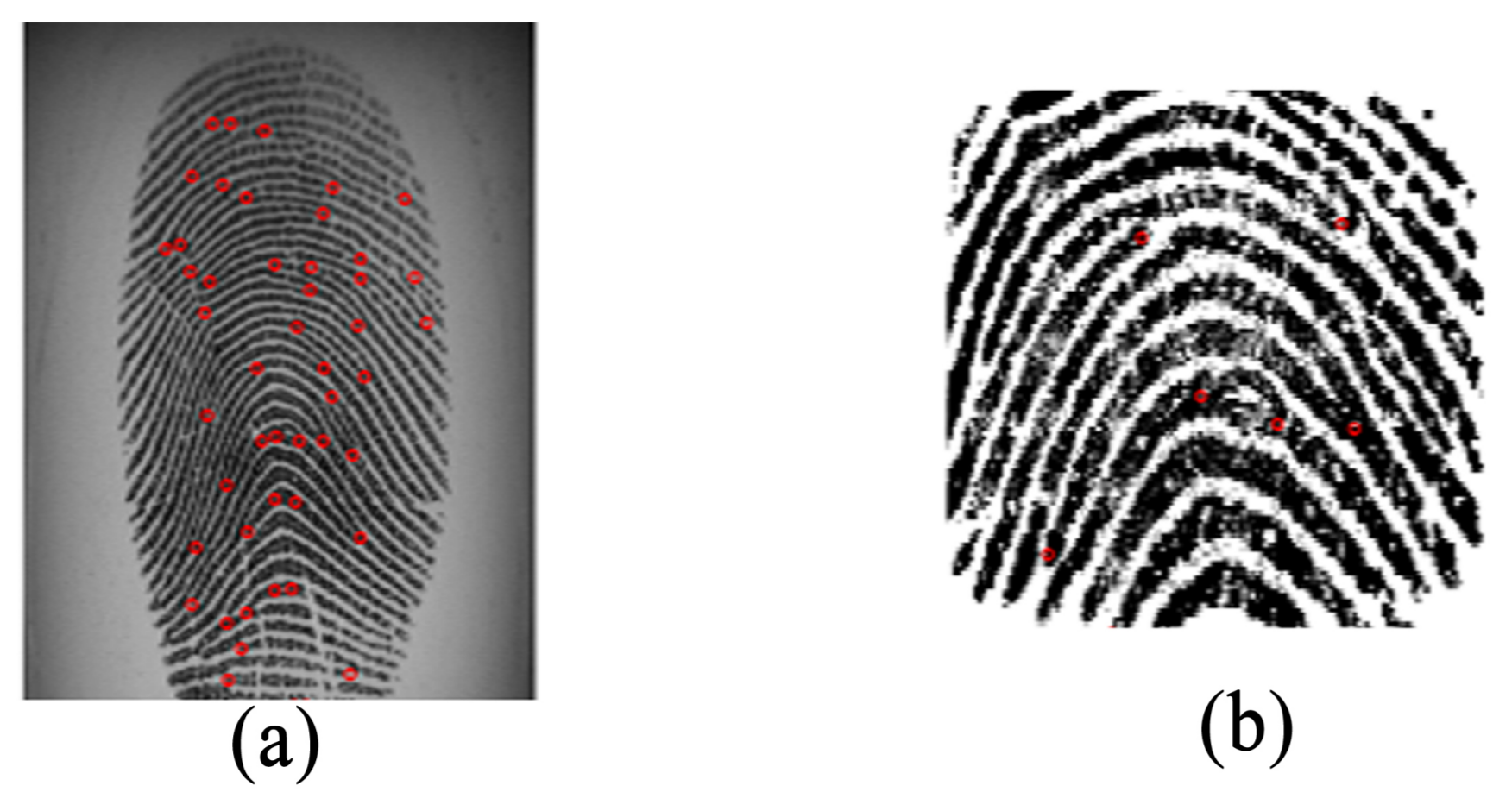 Sensors 18 01008 g003