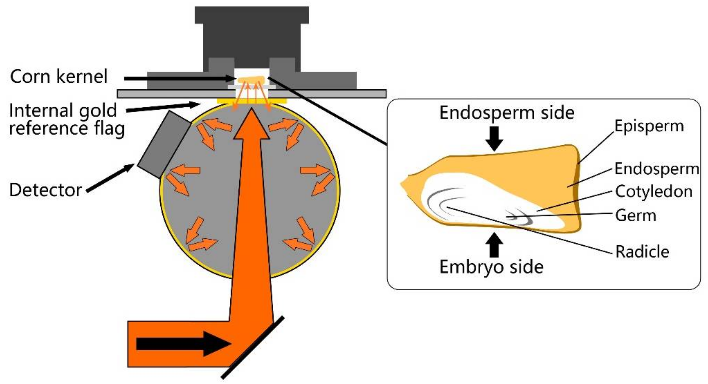 Sensors 18 01010 g001