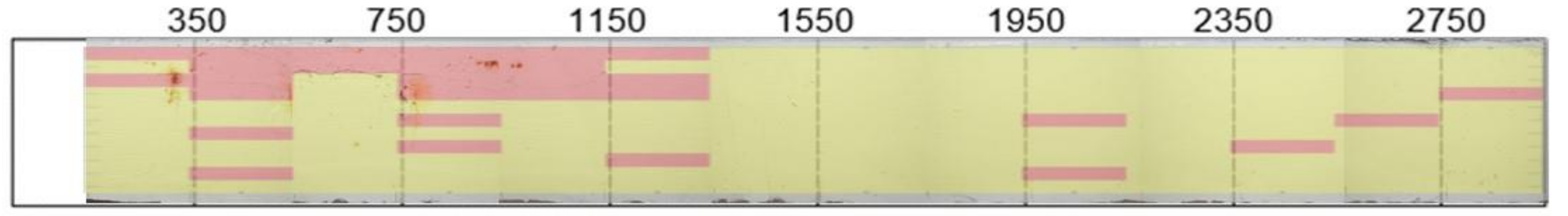 Sensors 18 01018 g013