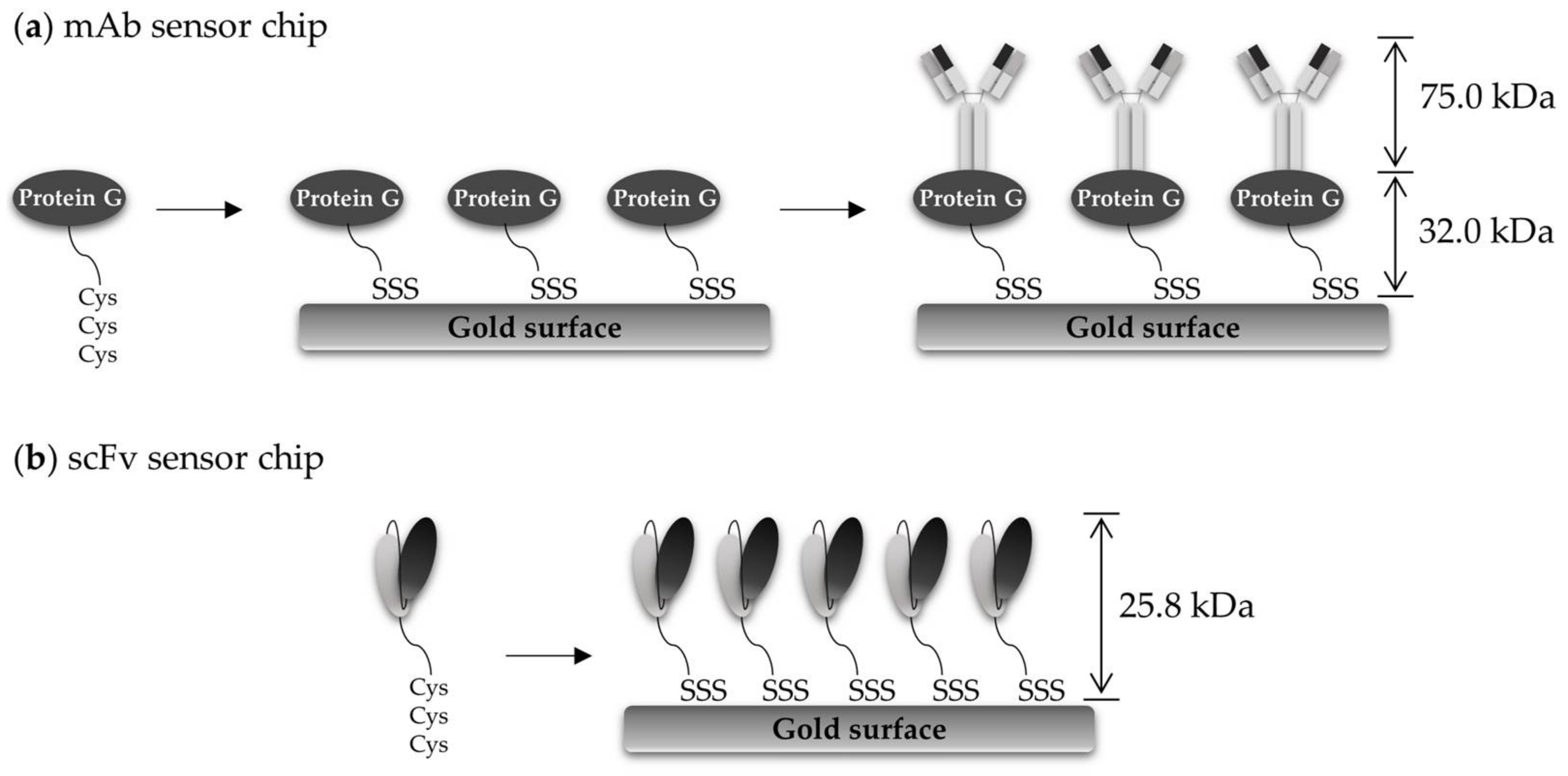 Sensors 18 01069 g002