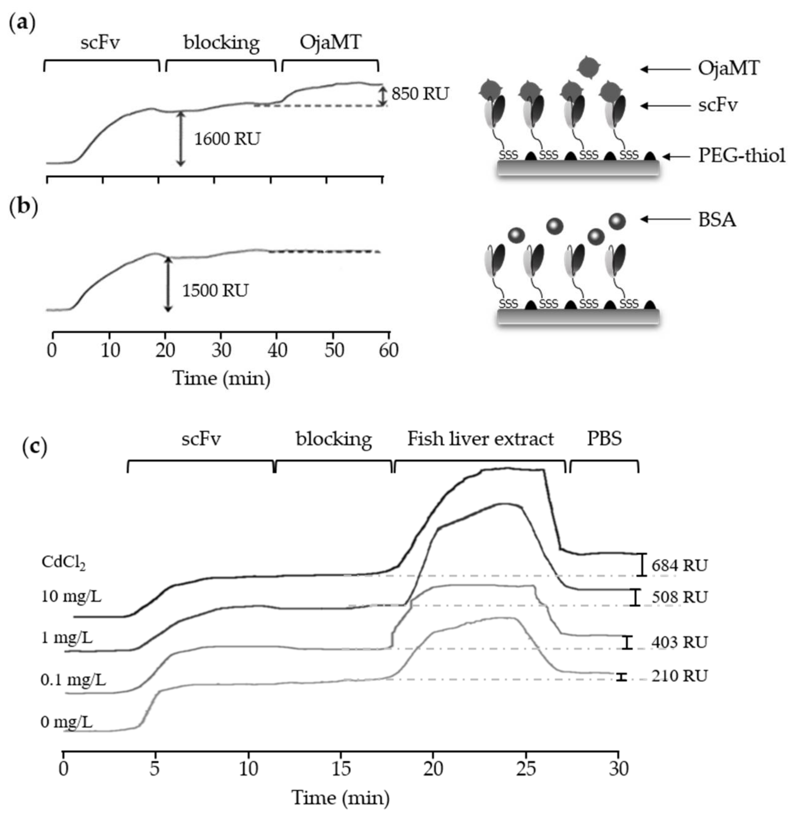 Sensors 18 01069 g004