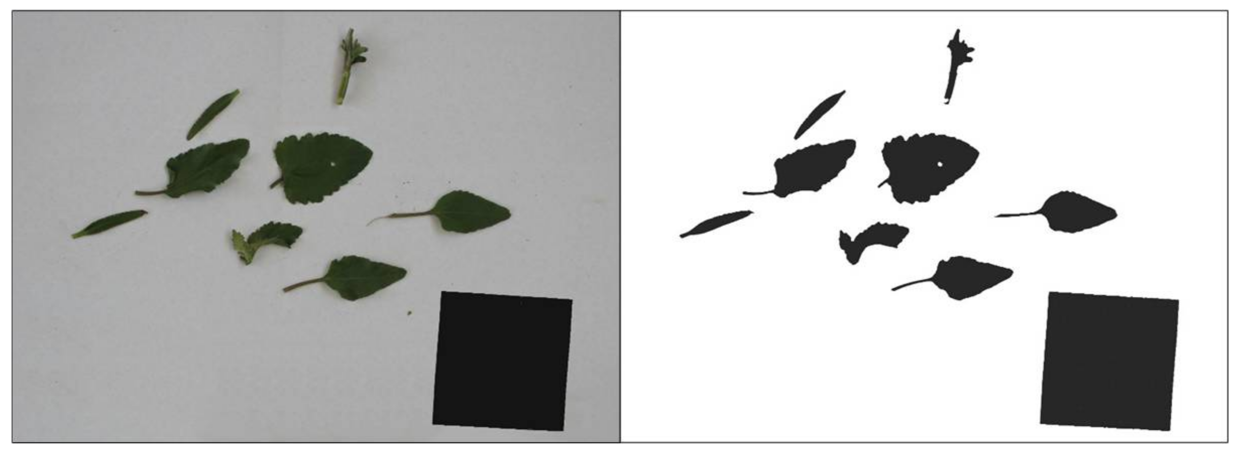 Sensors 18 01077 g002