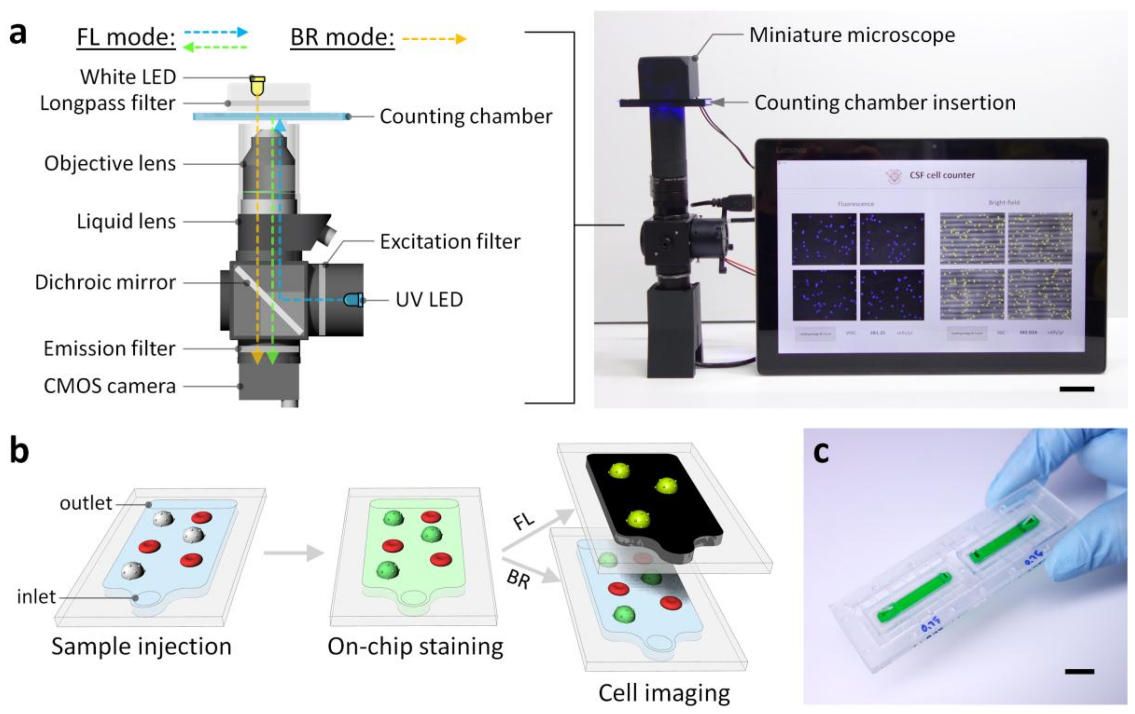Sensors 18 01124 g001