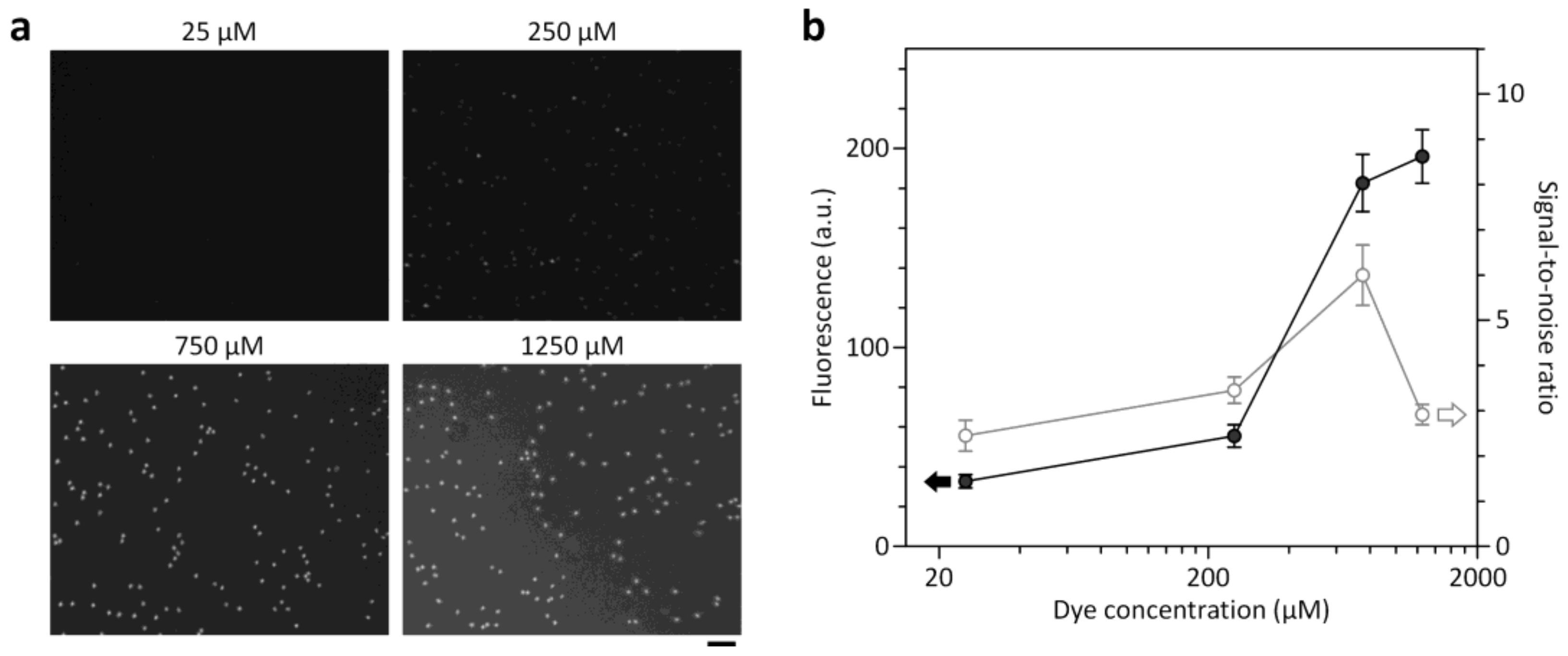 Sensors 18 01124 g003