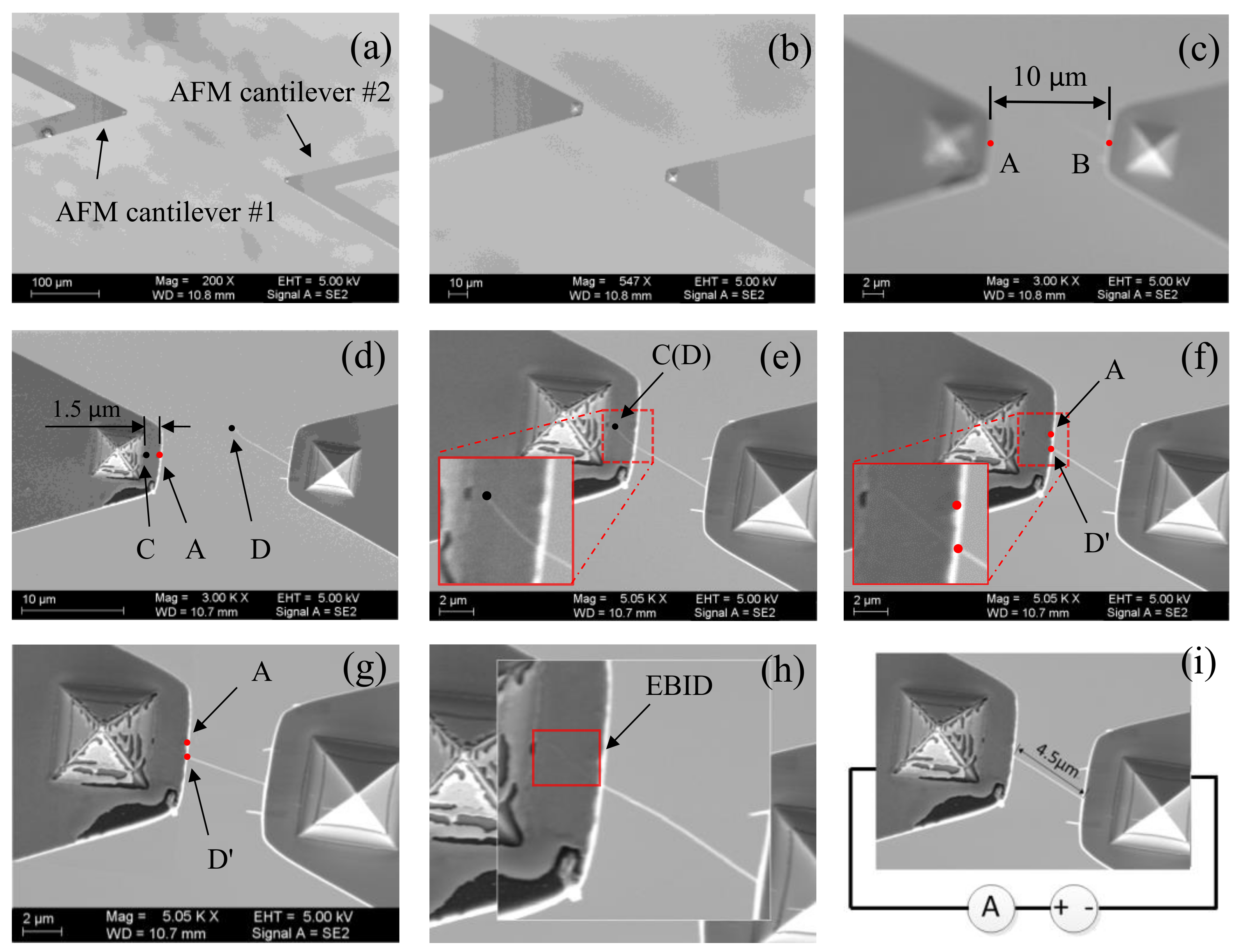 Sensors 18 01137 g012