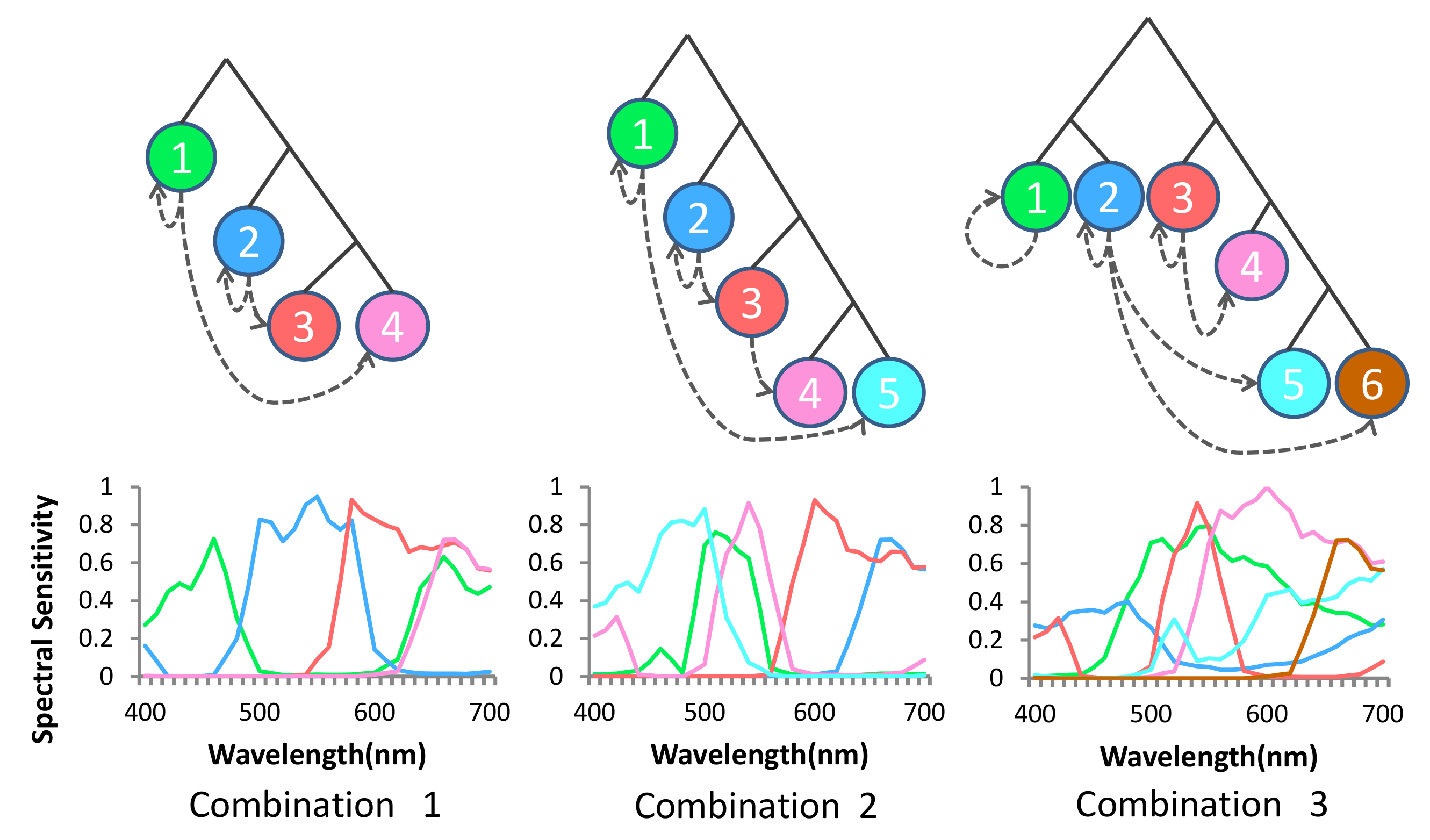 Sensors 18 01172 g009