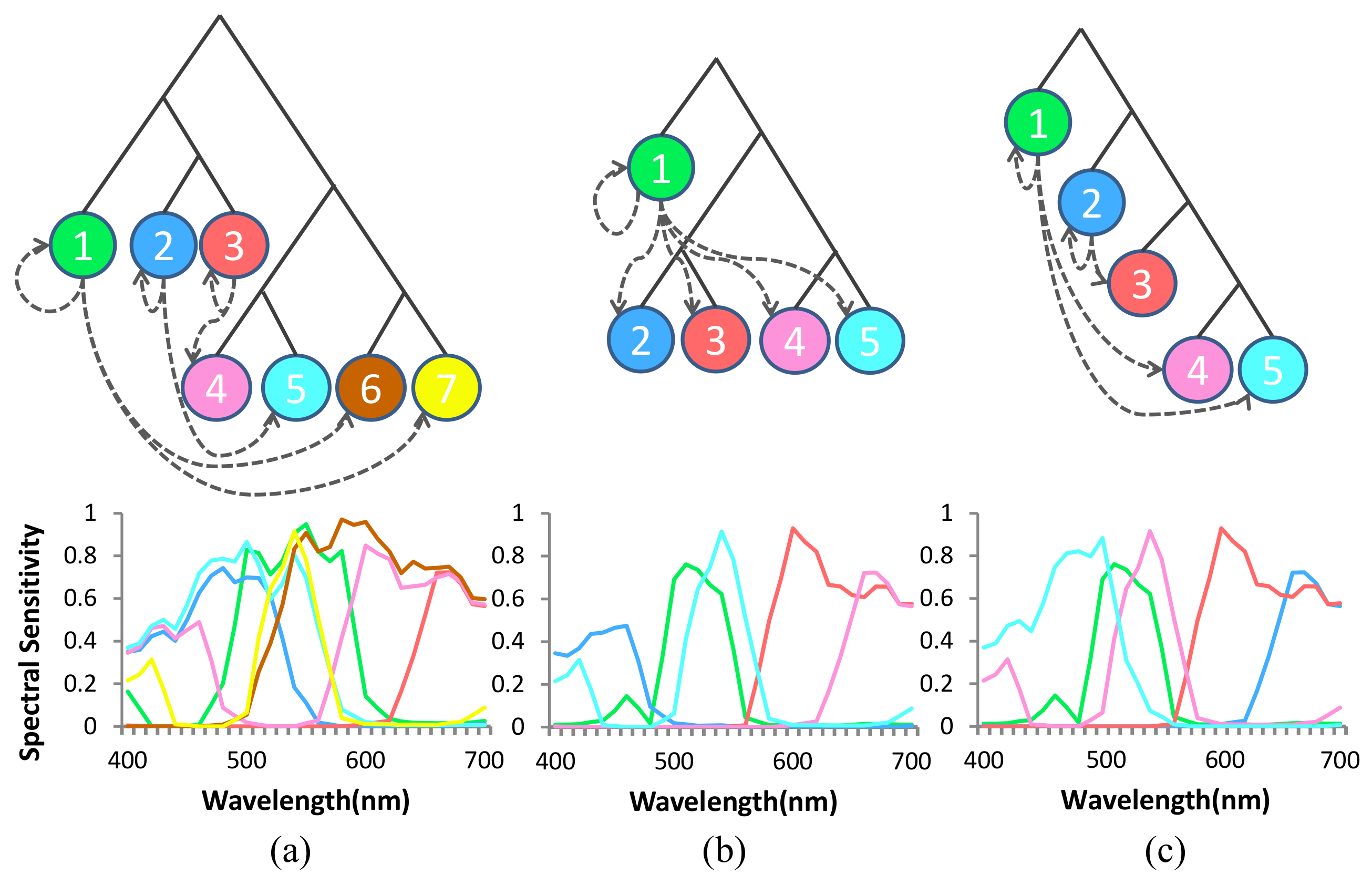 Sensors 18 01172 g011