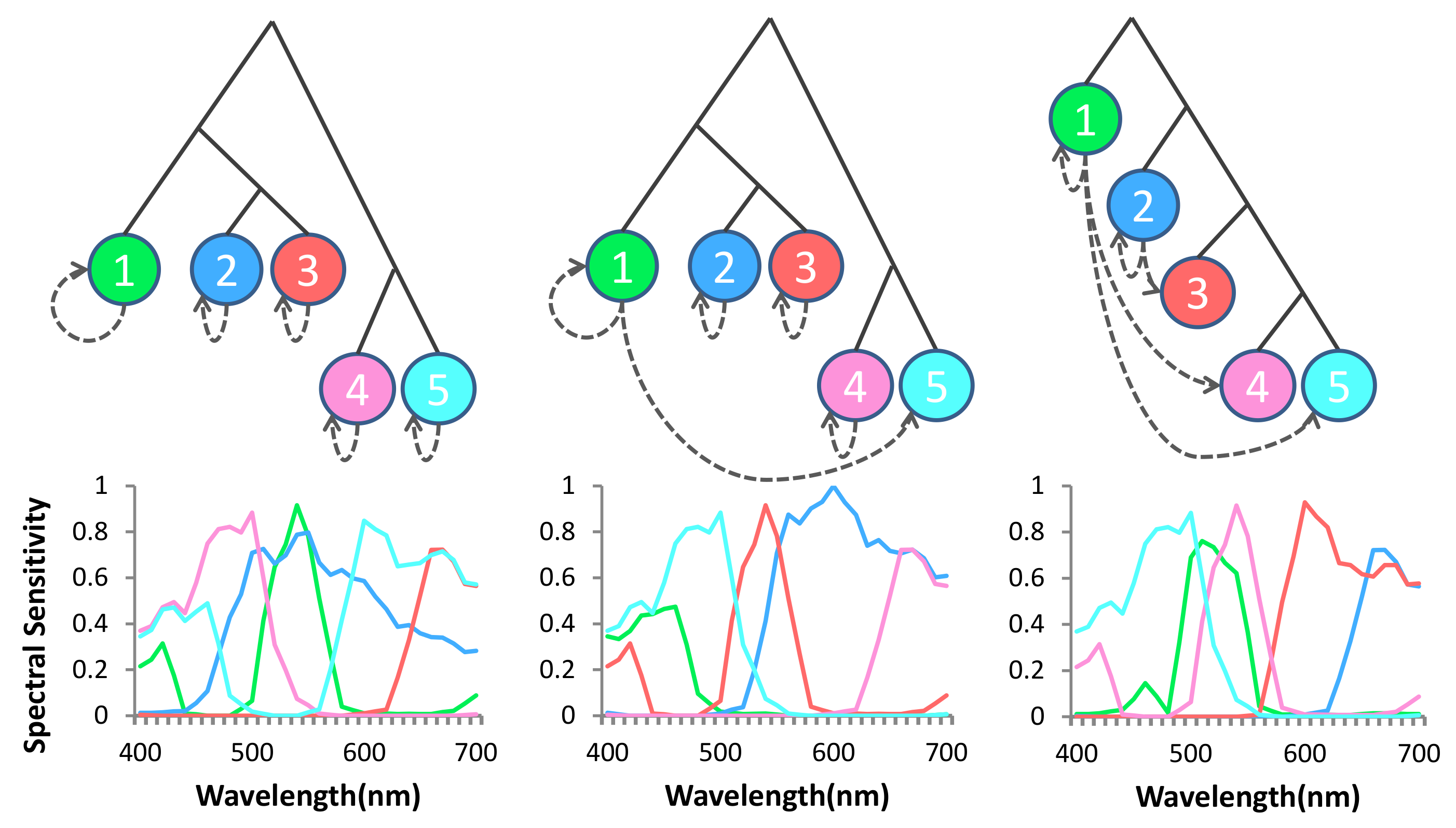 Sensors 18 01172 g014